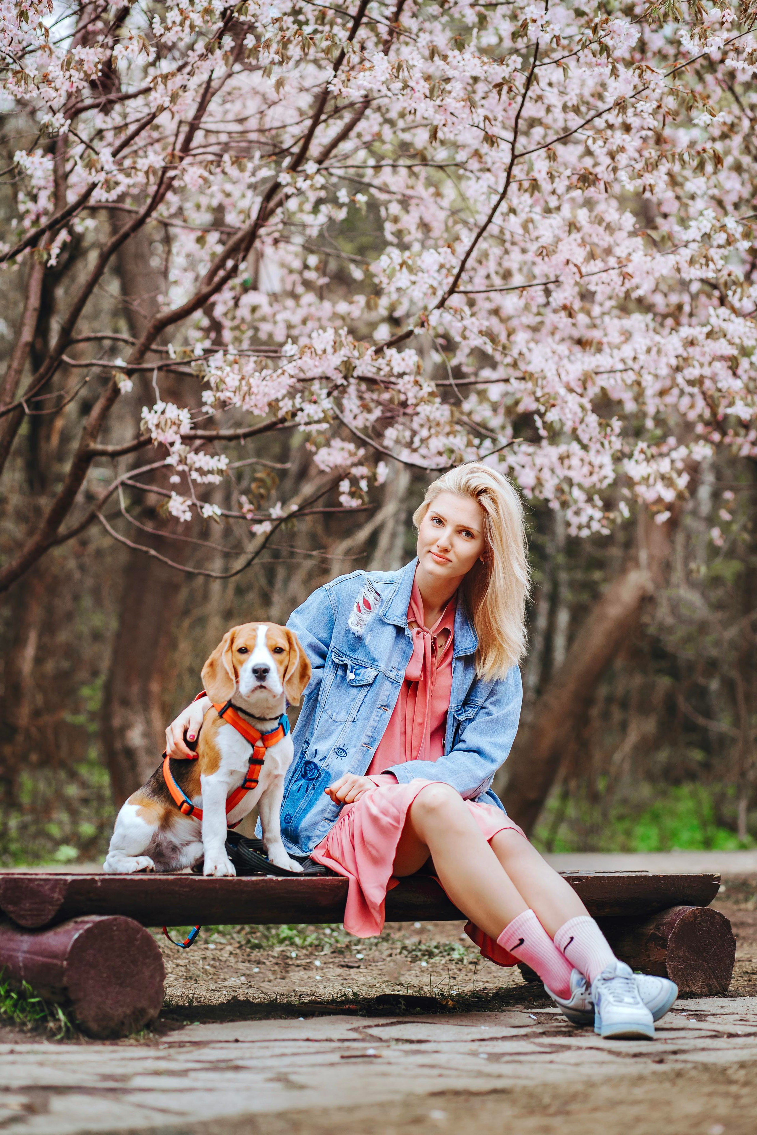 Утро в бирюлевском дендропарке 