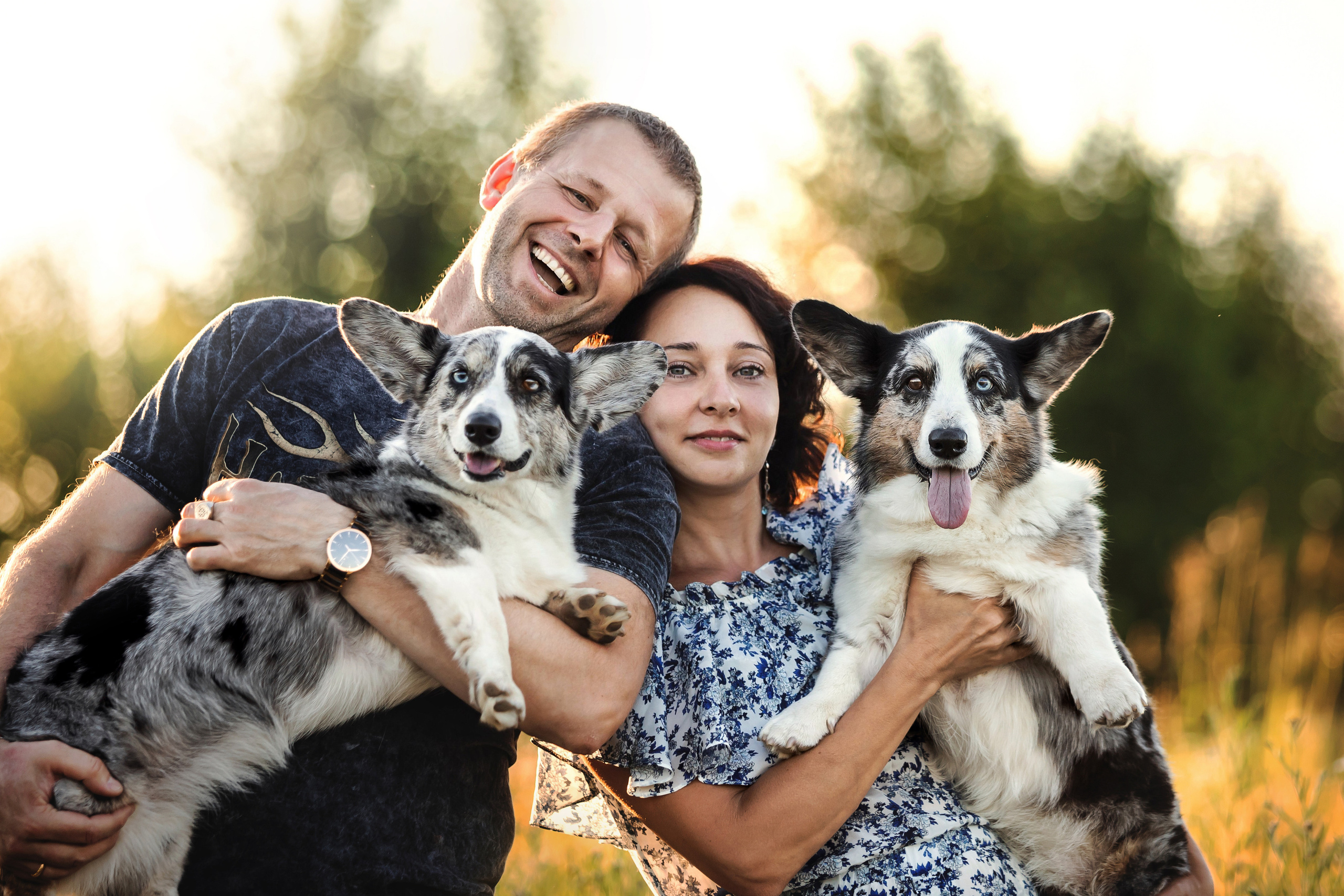 фотосессия собаки