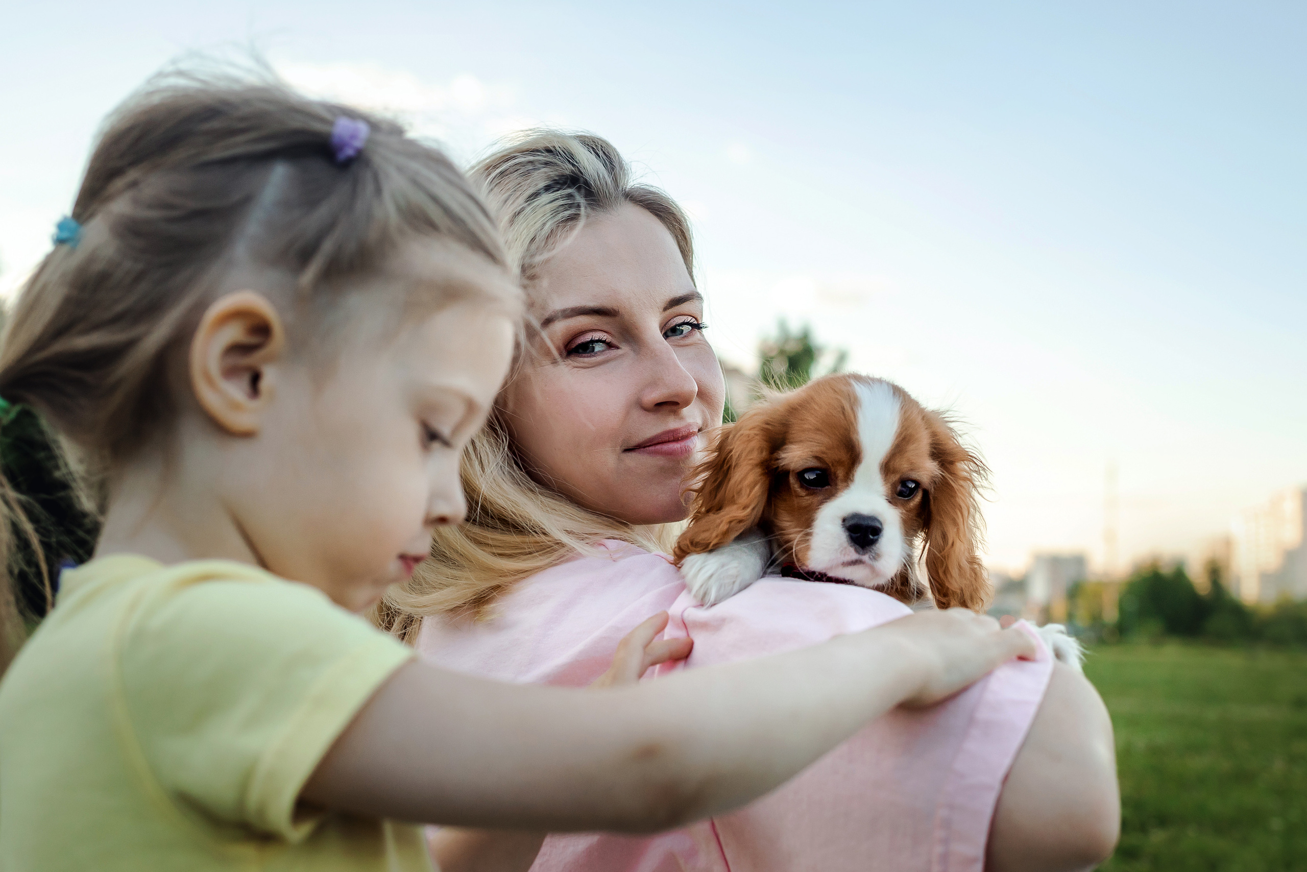фотосессия с собакой