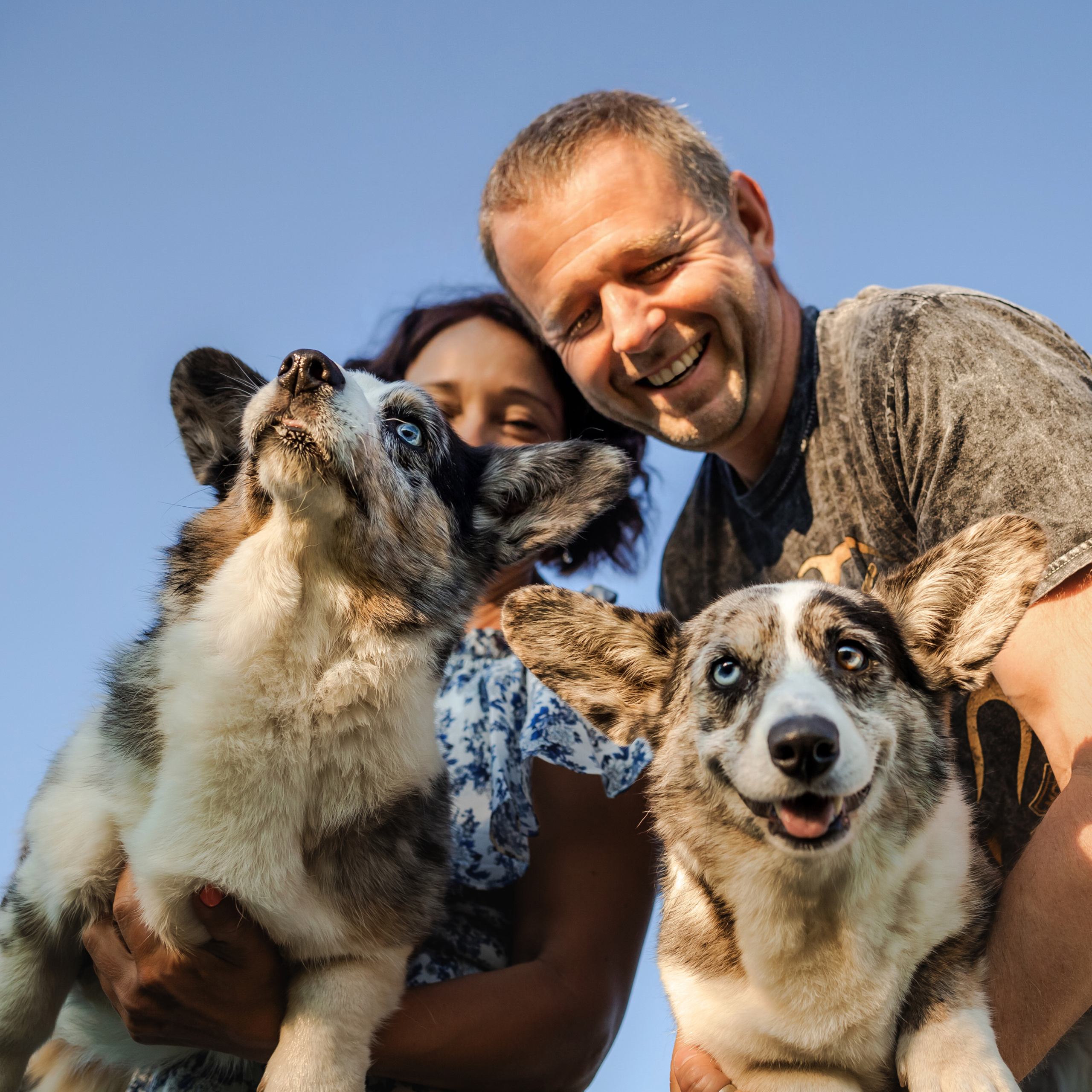 семейная фотосессия с собакой