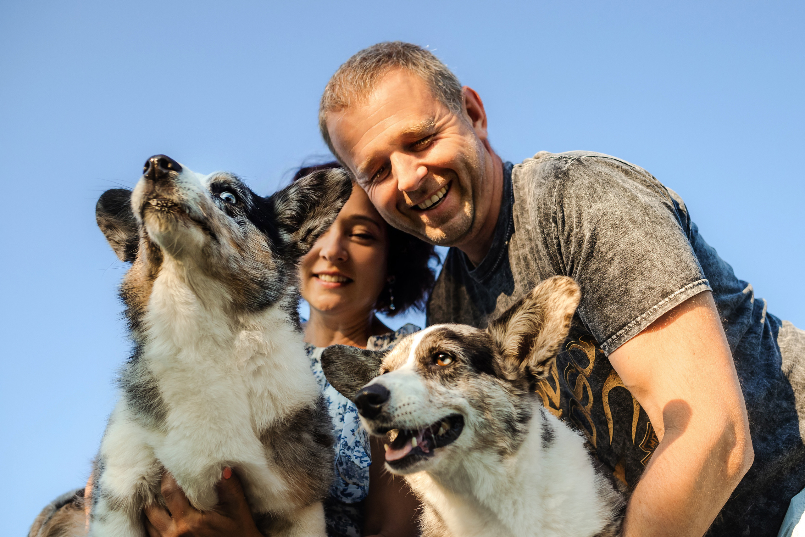 семейная фотосессия с собакой