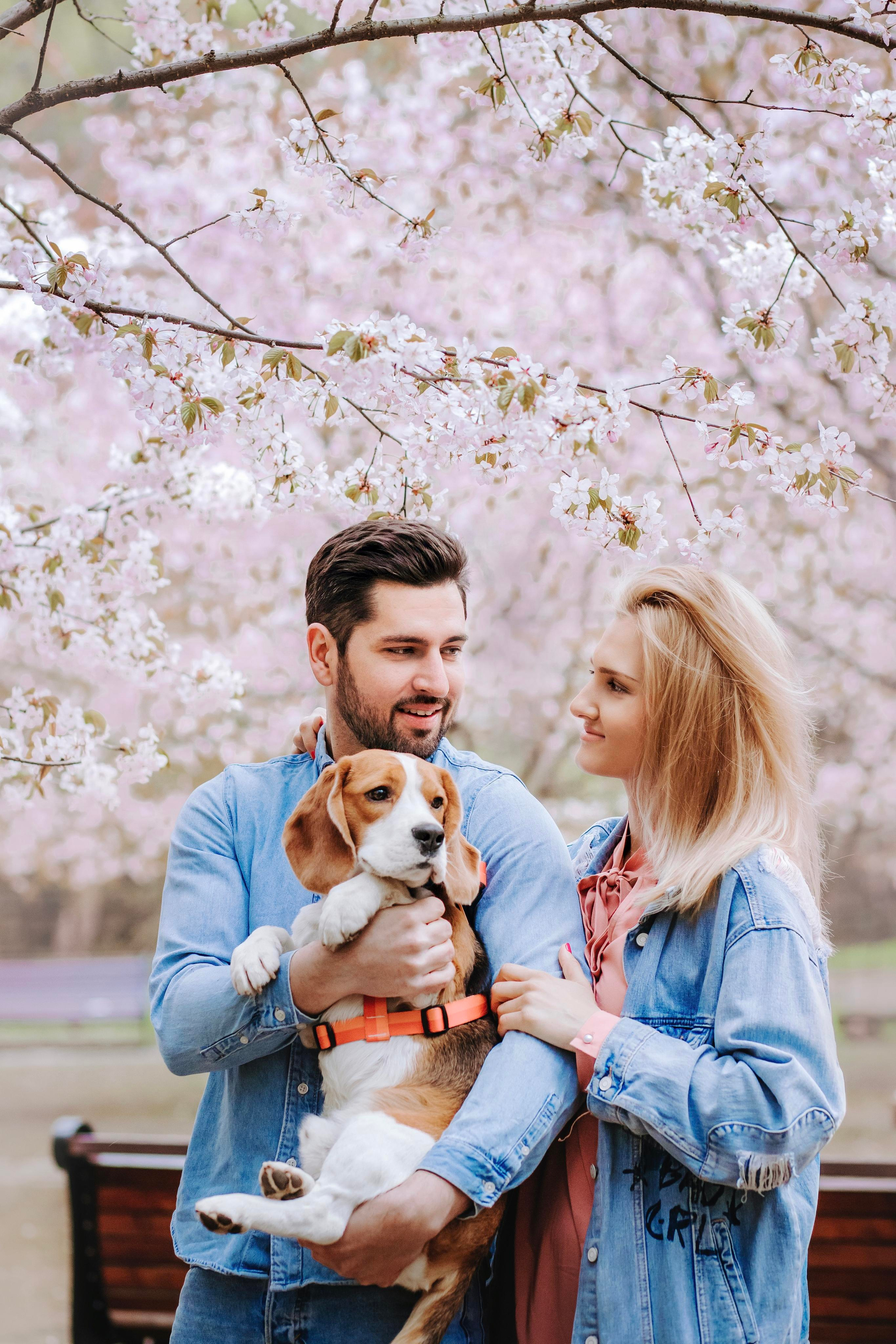 Фотосессия с собакой в цветущей сакуре 