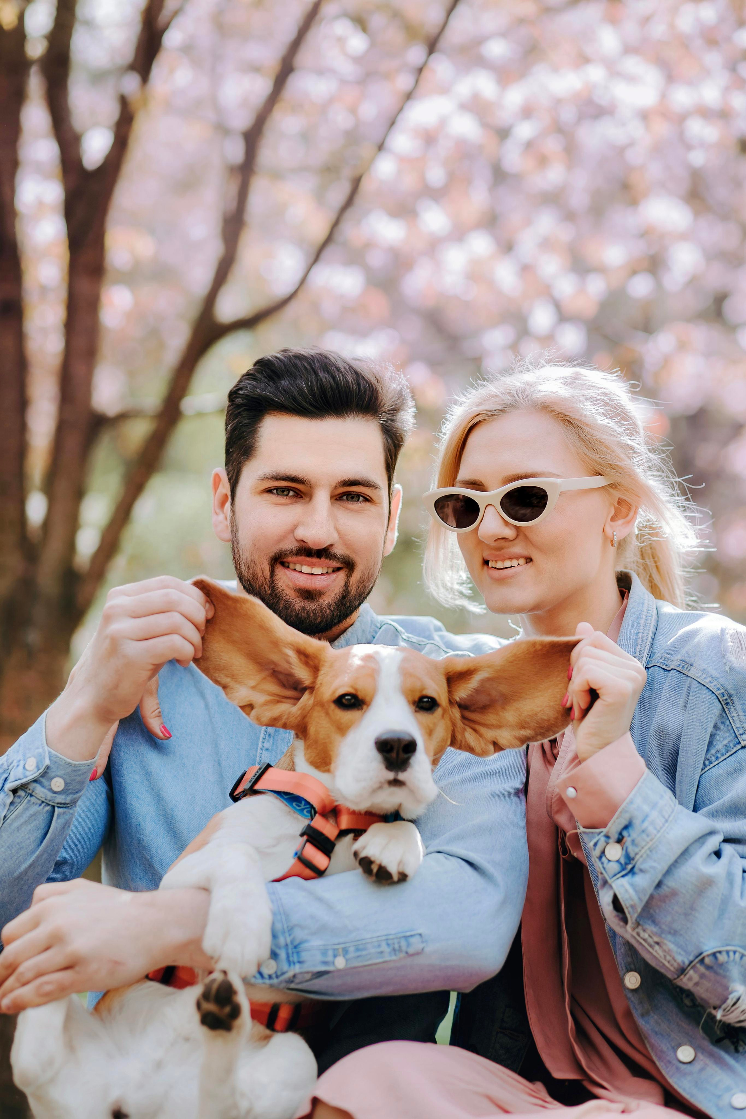 Фотопрогулка с собакой в цветущей сакуре 