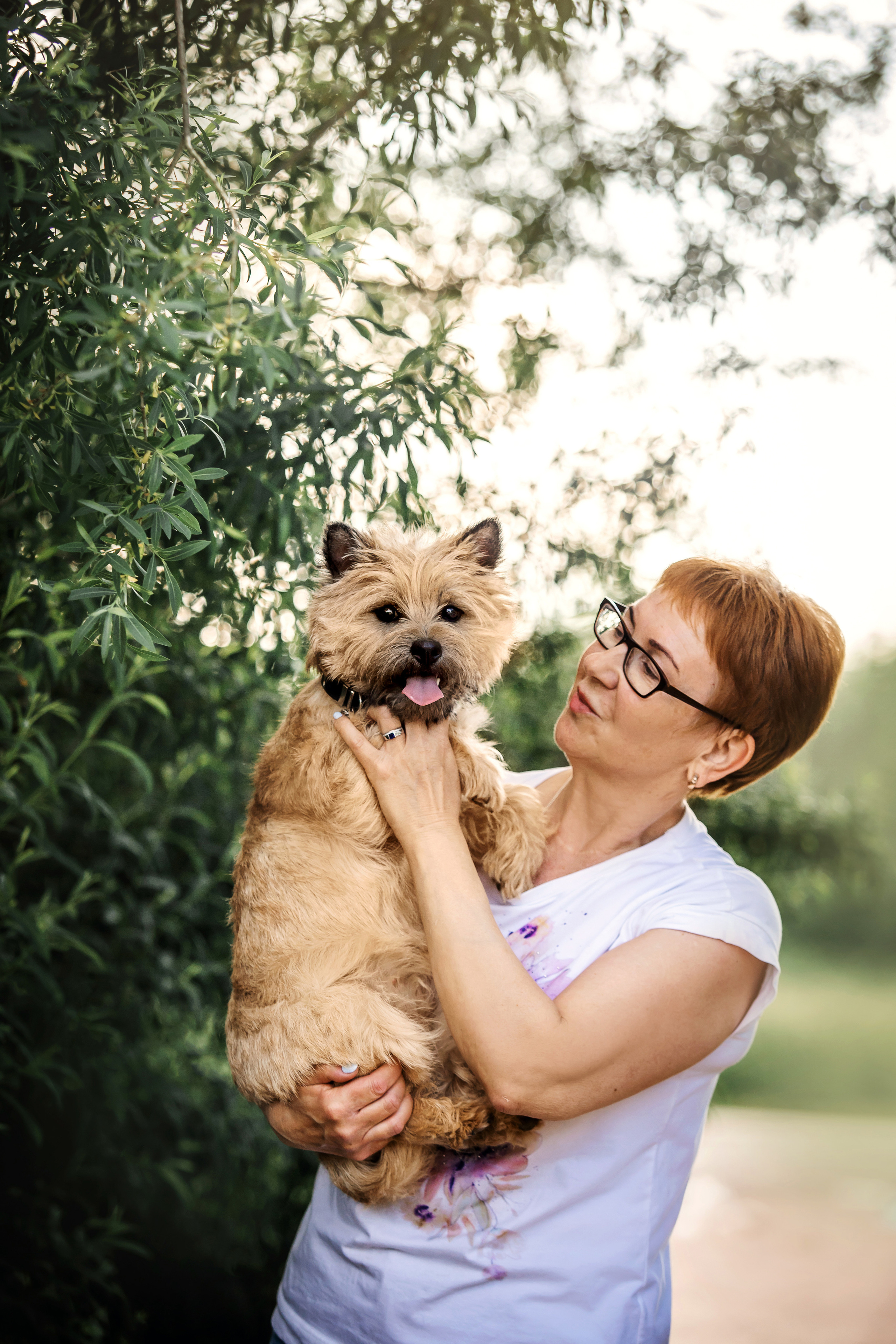 фотосессия керн-терьера