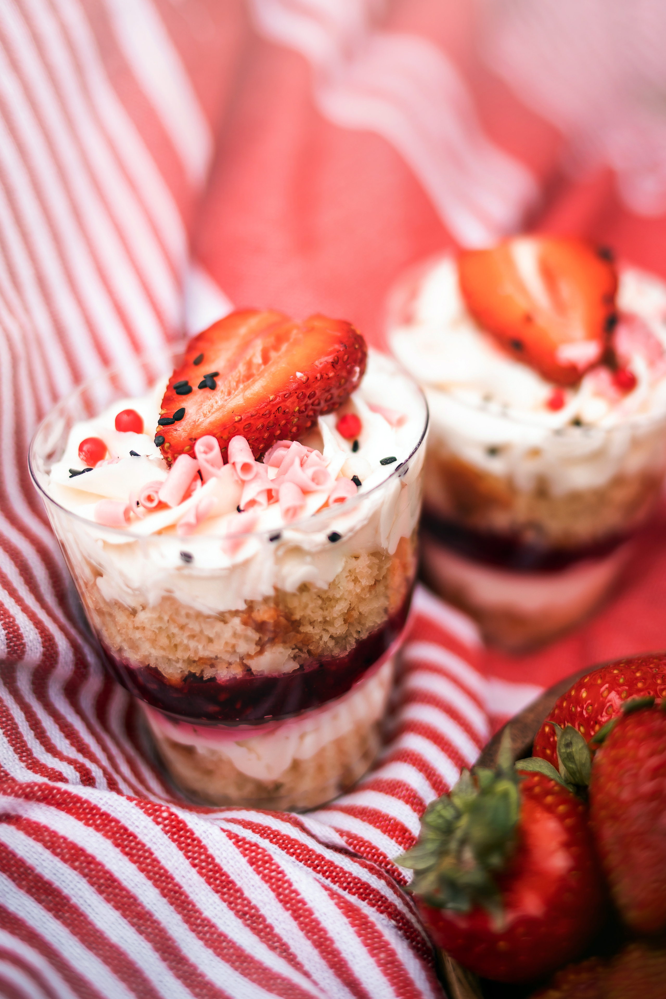 фотопикник с собакой