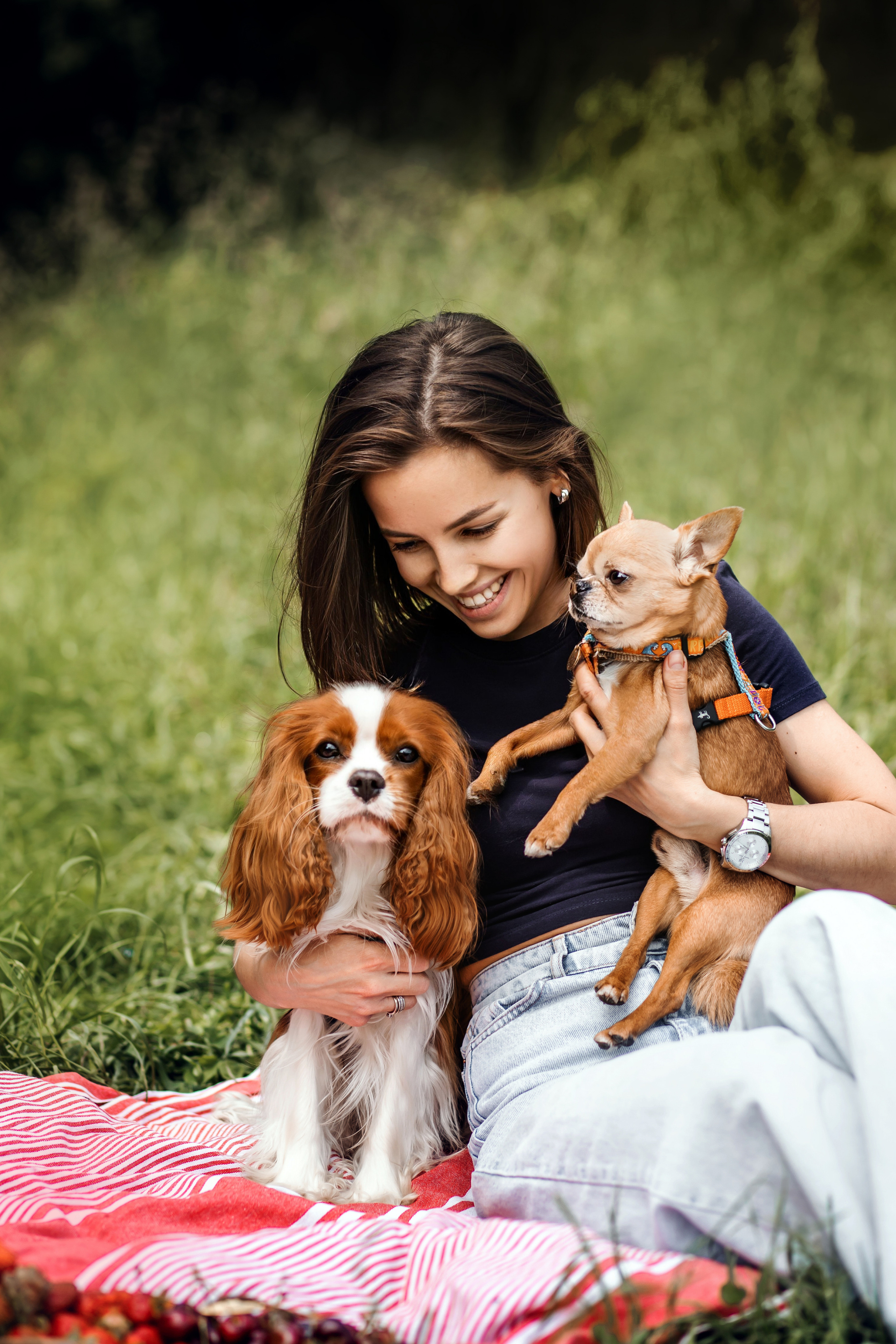 фотопикник с собакой