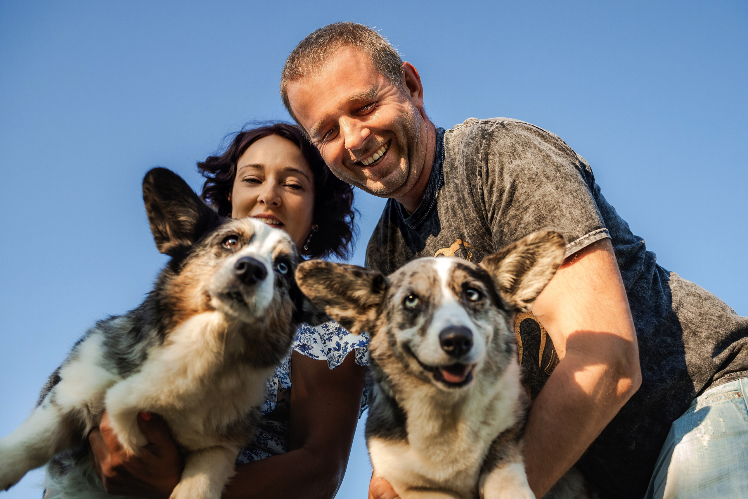 фотосессия с собакой на природе