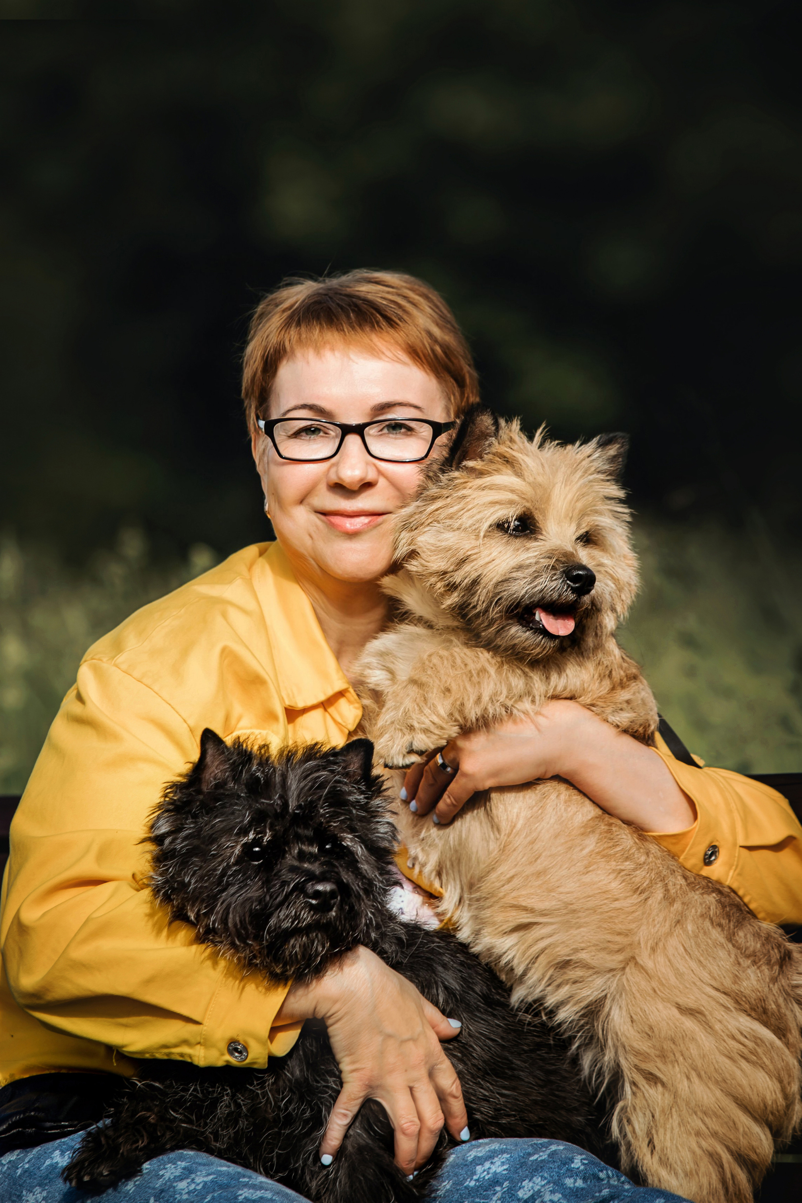 фотосессия керн-терьера