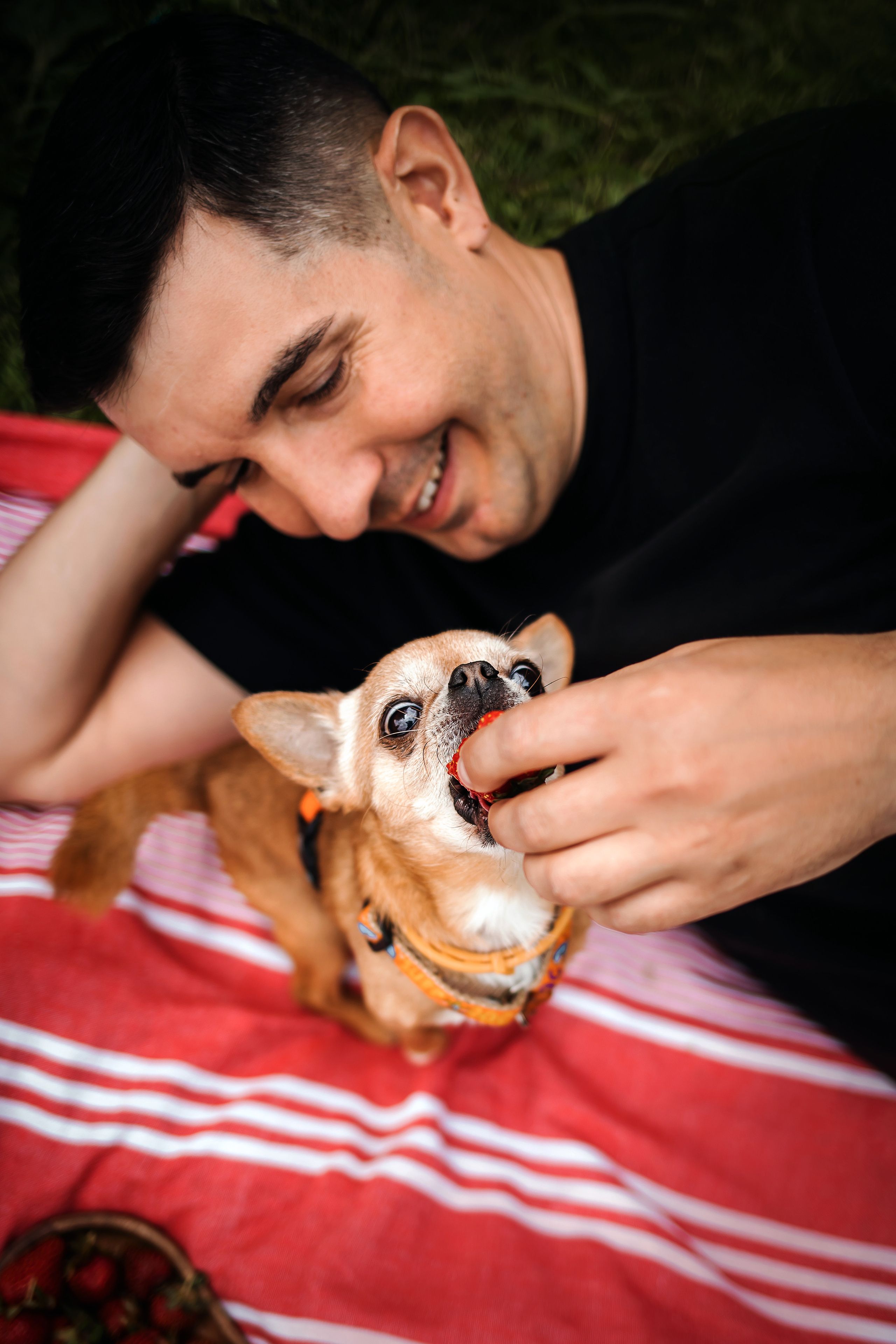 фотосессия с собакой