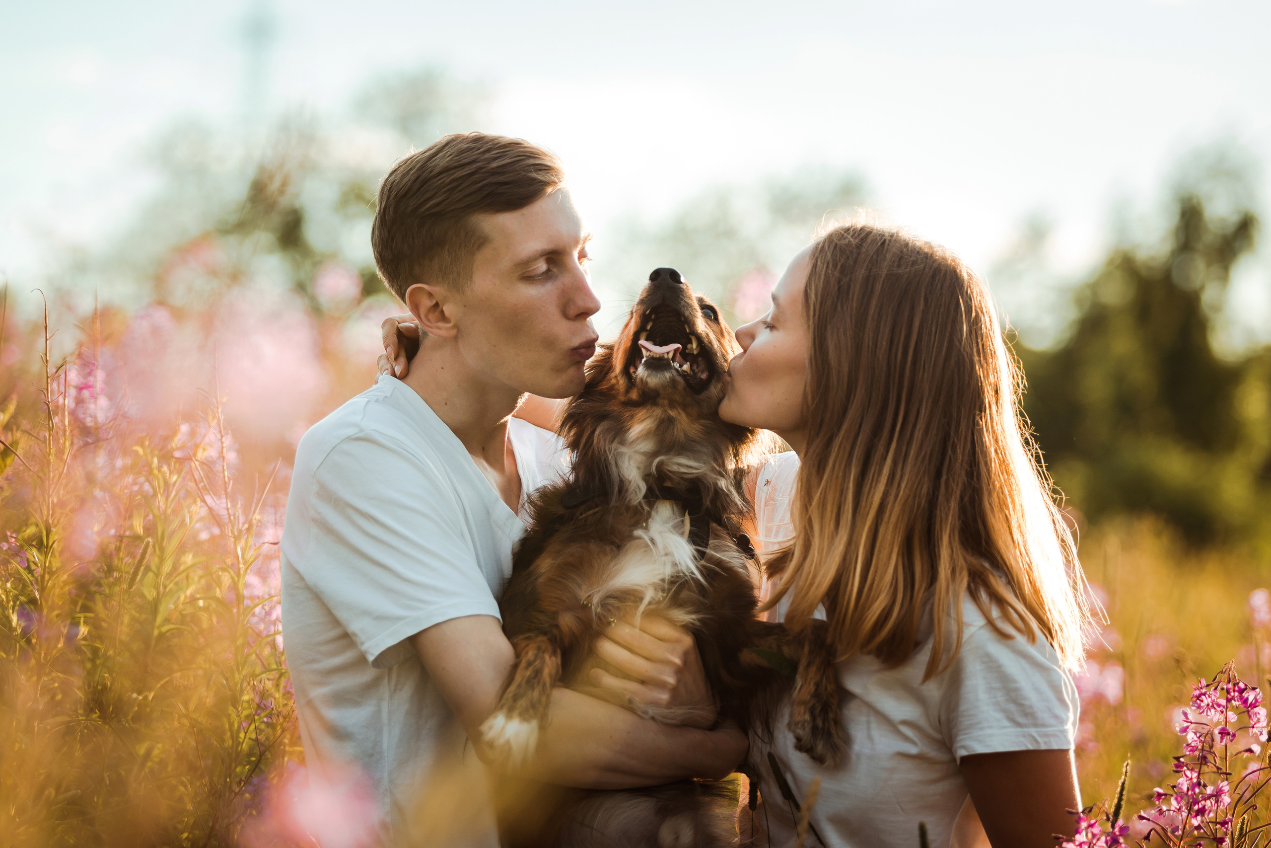 фотосессия с собакой в бутово на закате