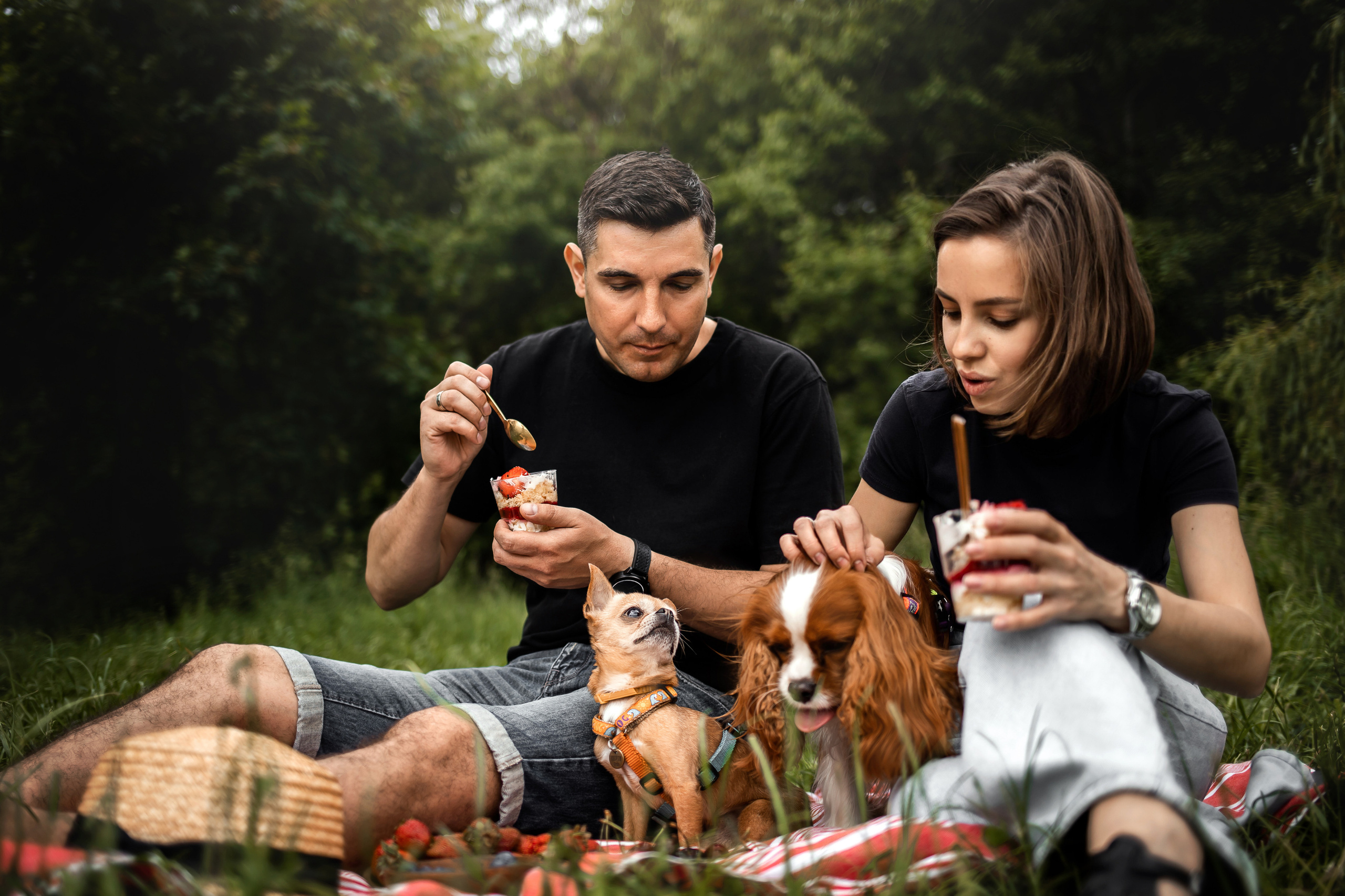 фотопикник с собакой