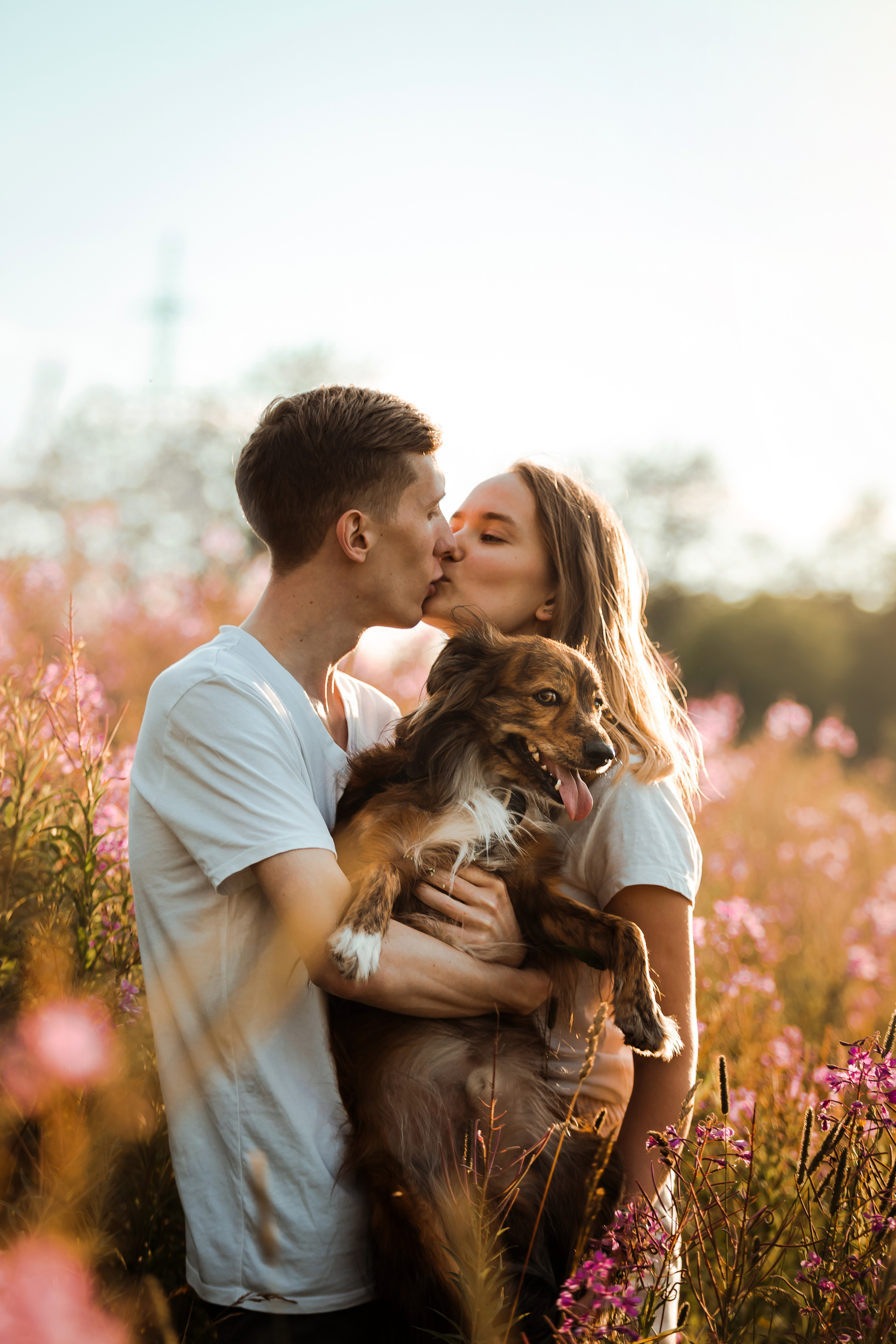 фотосессия с собакой в бутово на закате