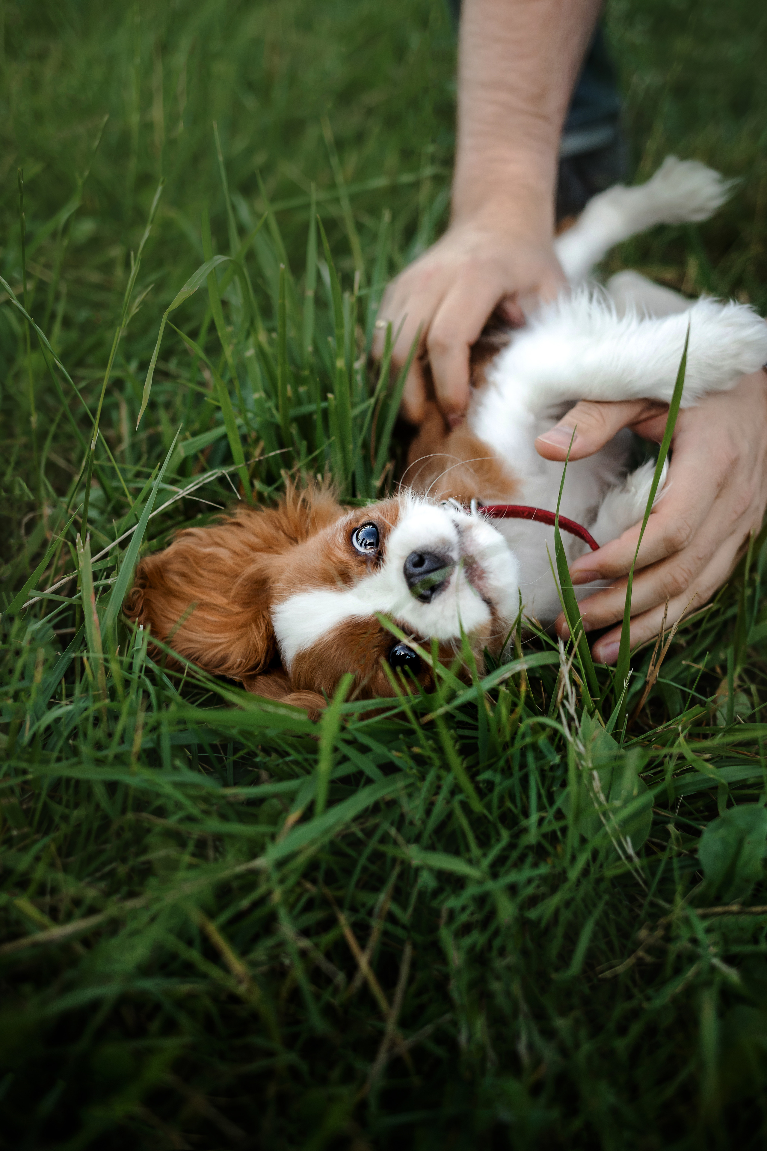 семейная фотосессия в бутово