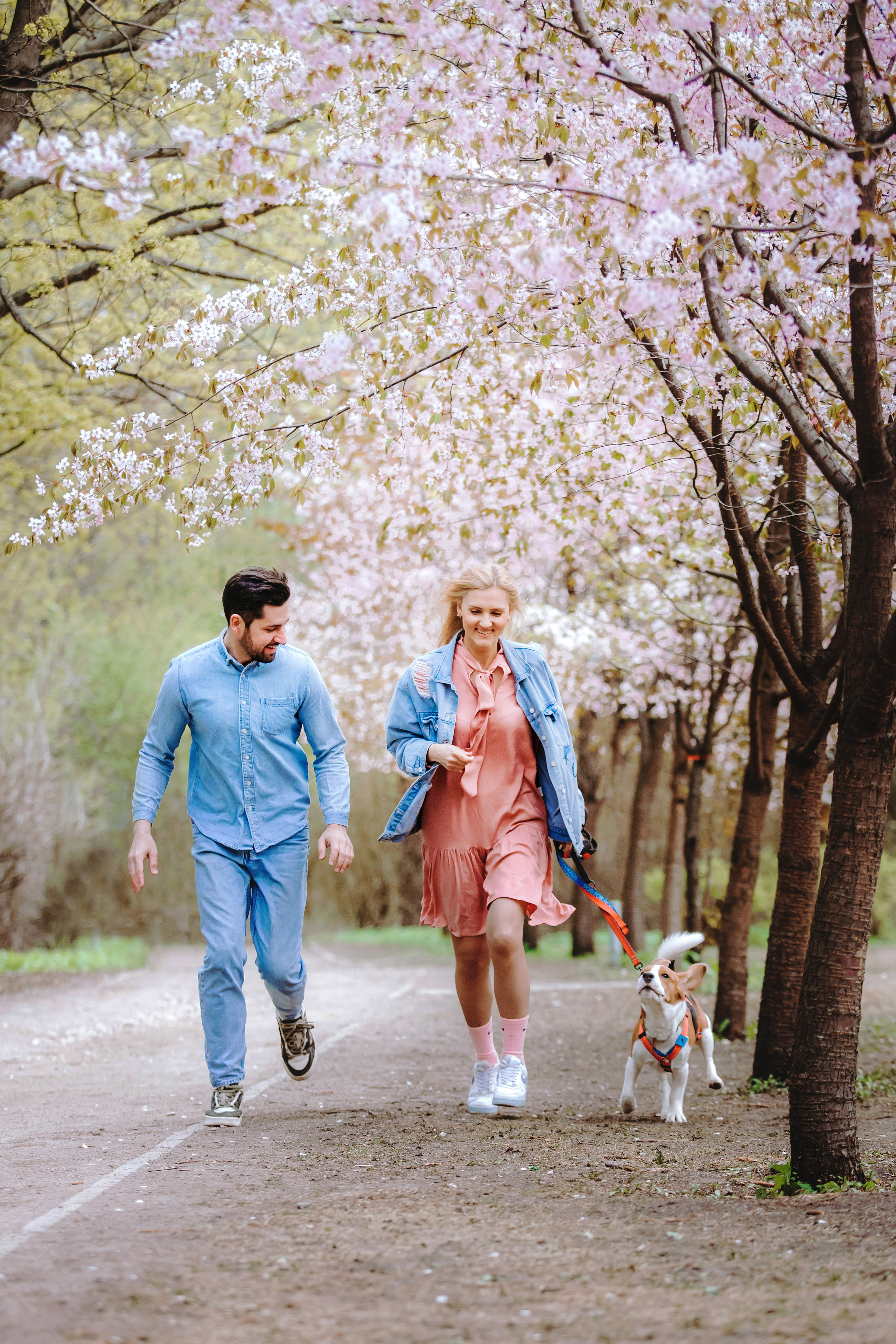 Весенняя фотосессия с собакой в цветущей сакуре 