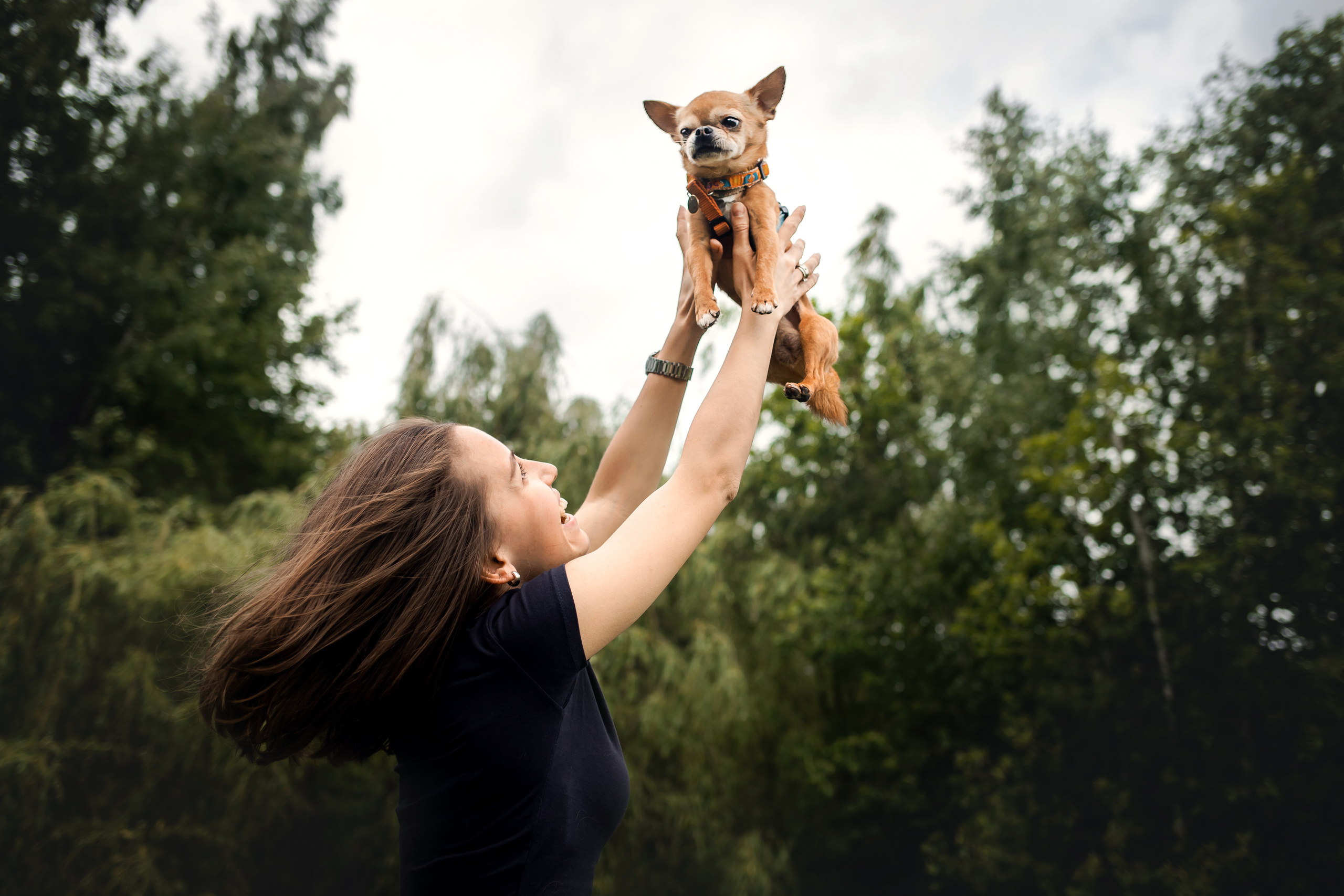 фотосессия с собакой