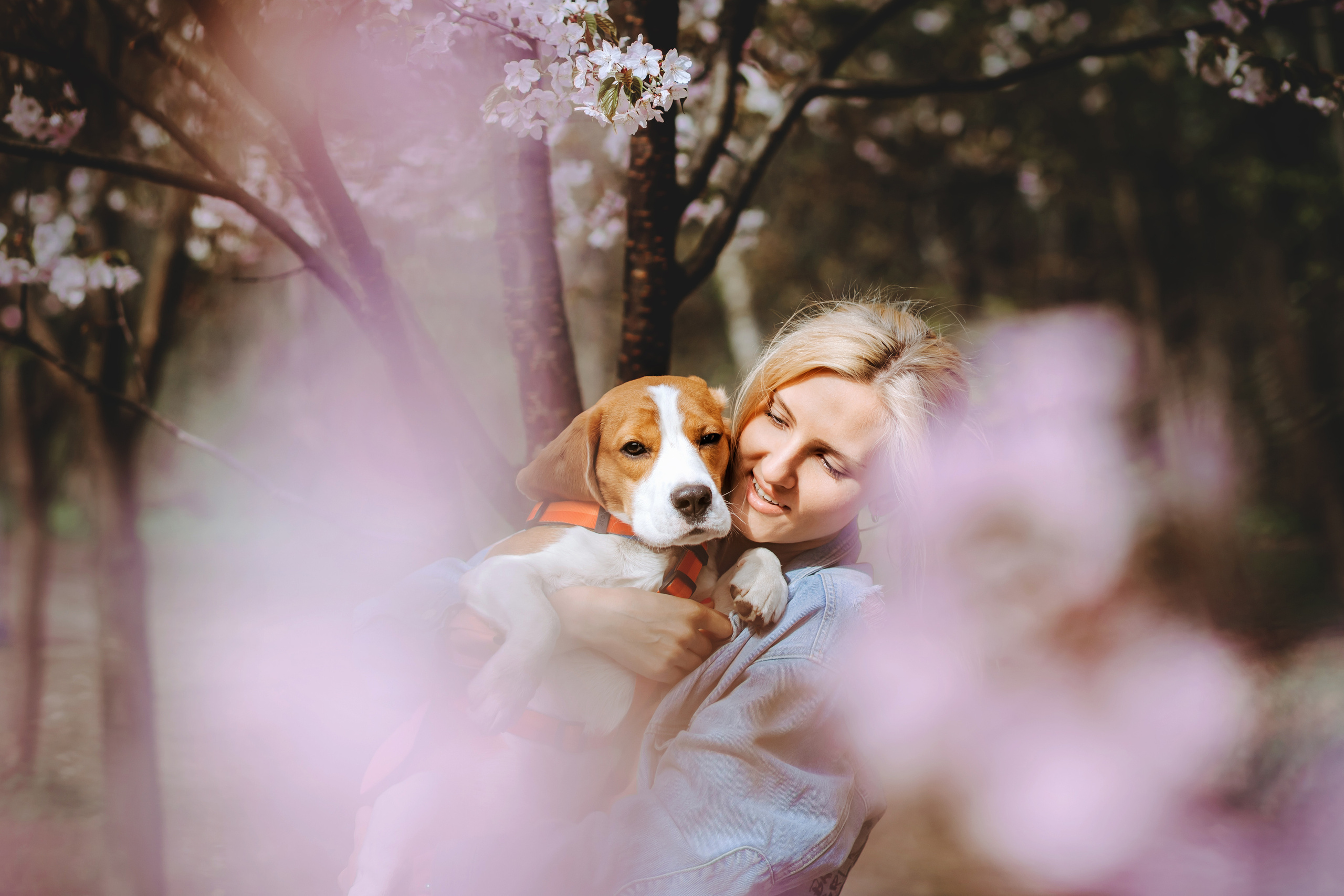 Фотосессия с собакой в бирюлевском дендропарке 