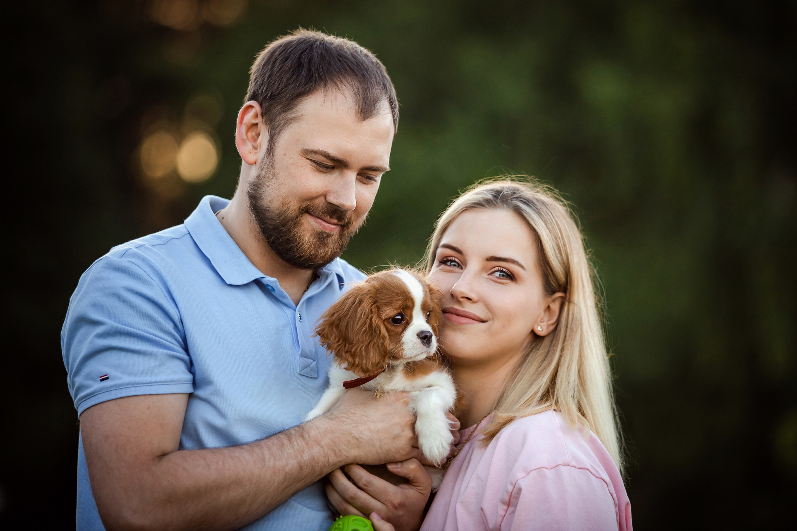 фотосессия спаниеля в бутово 