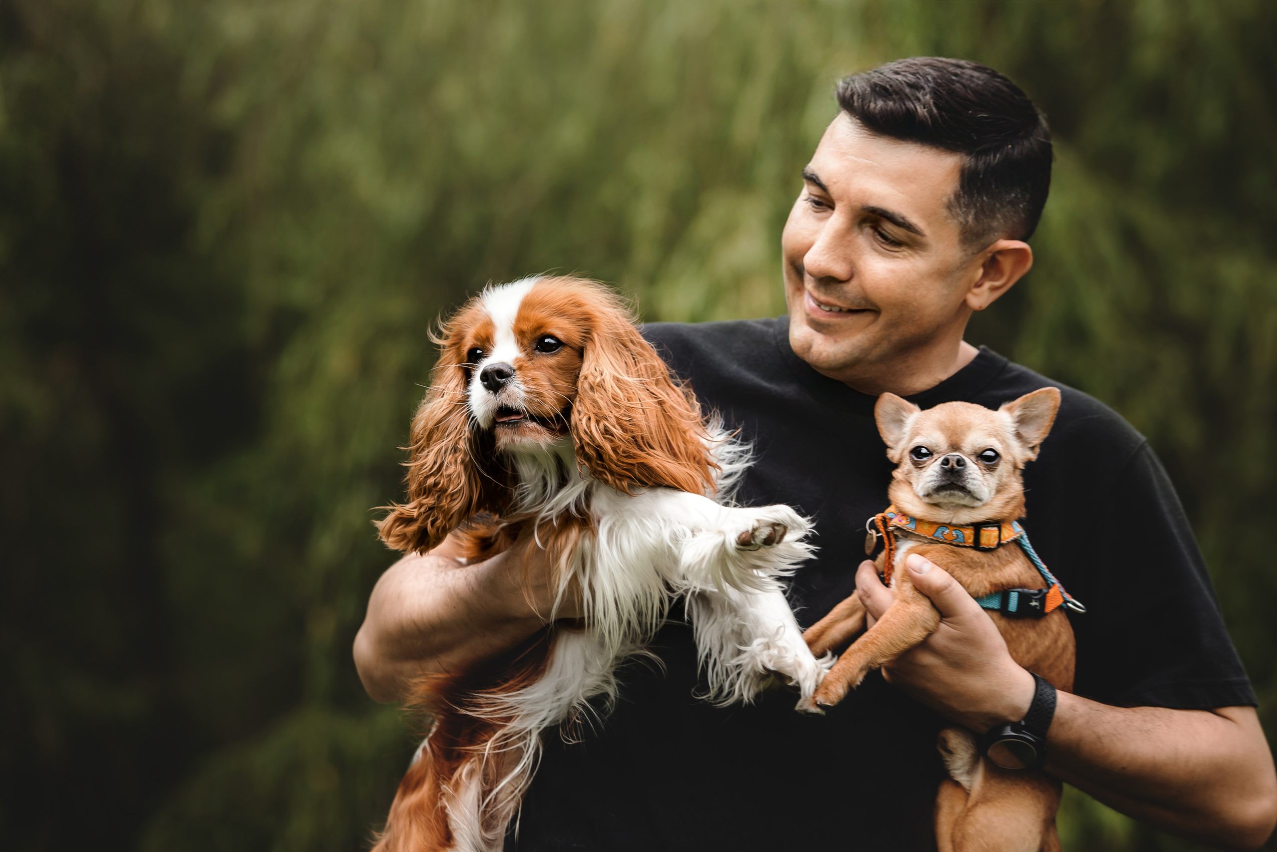 фотосессия с собакой