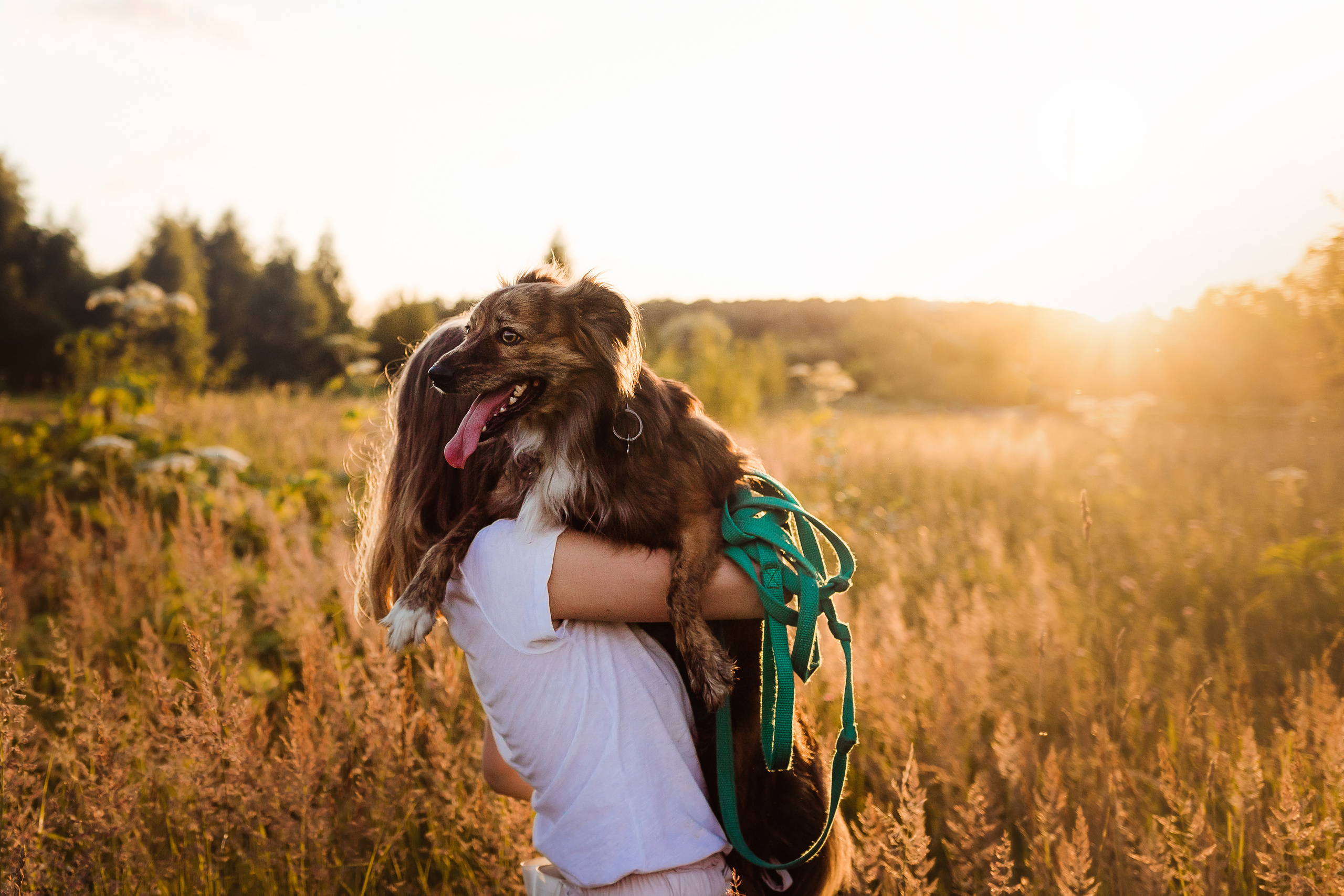 фотосессия с собакой в бутово 