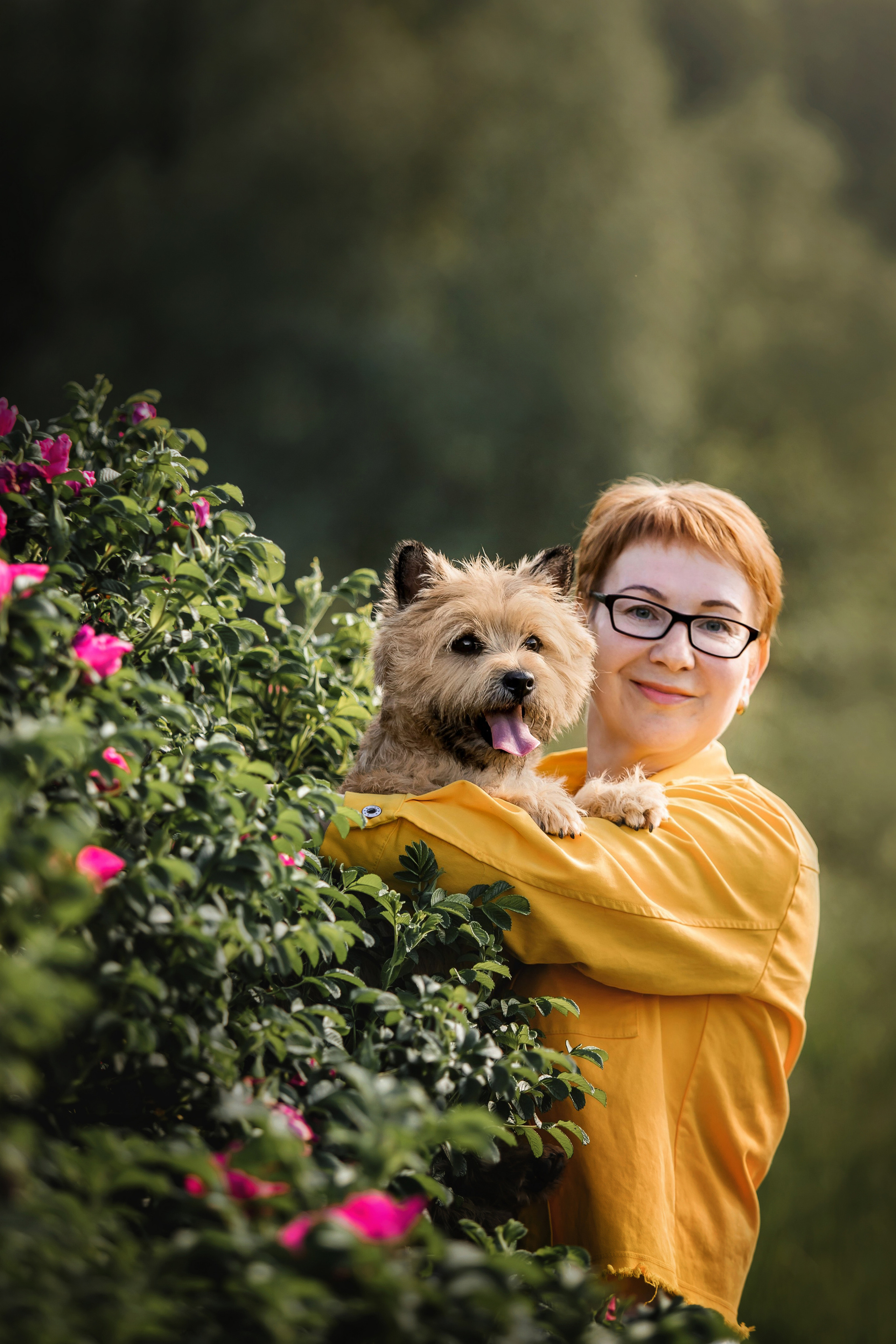 фотосессия с керн-терьером