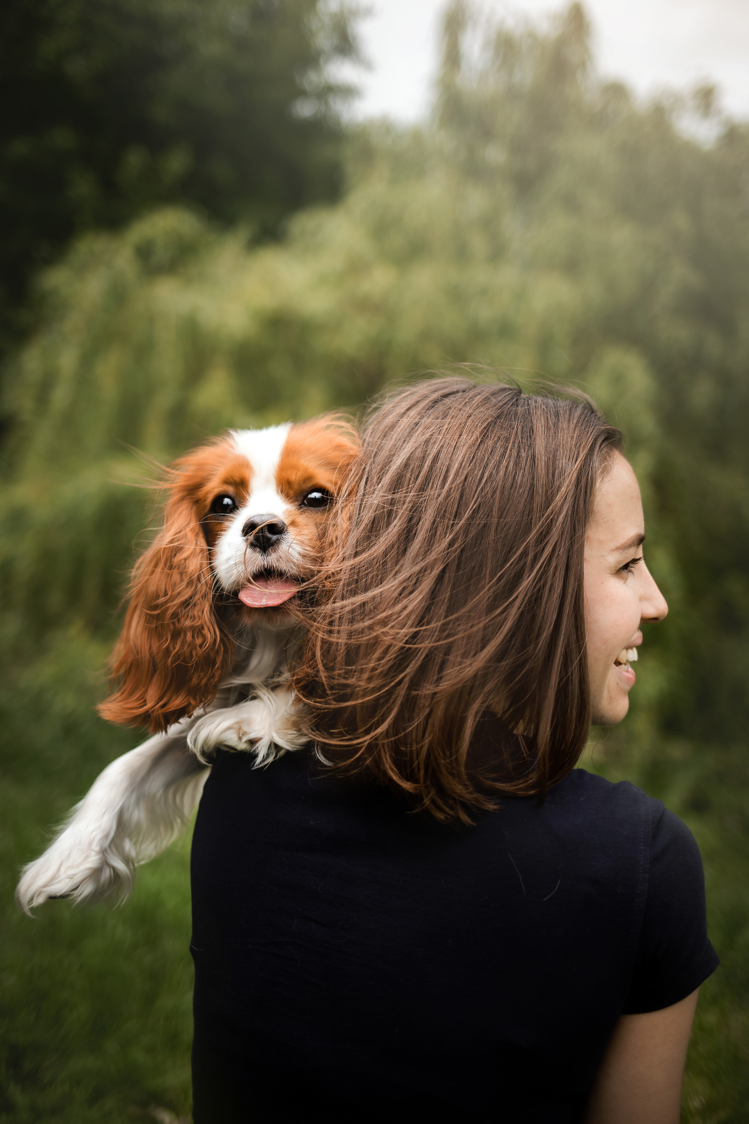 фотосессия с собакой