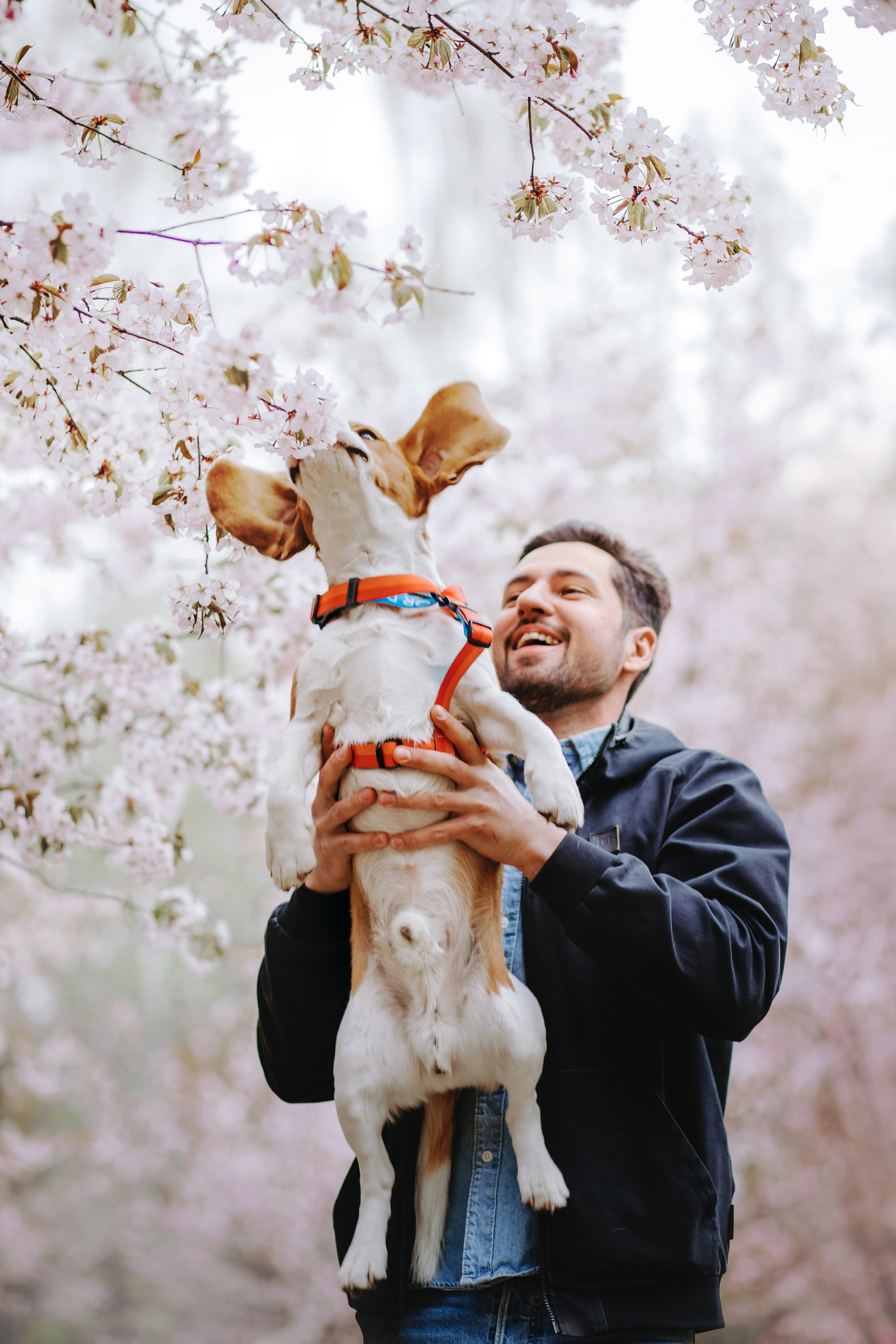 Фотосессия в бирюлевском дендропарке 