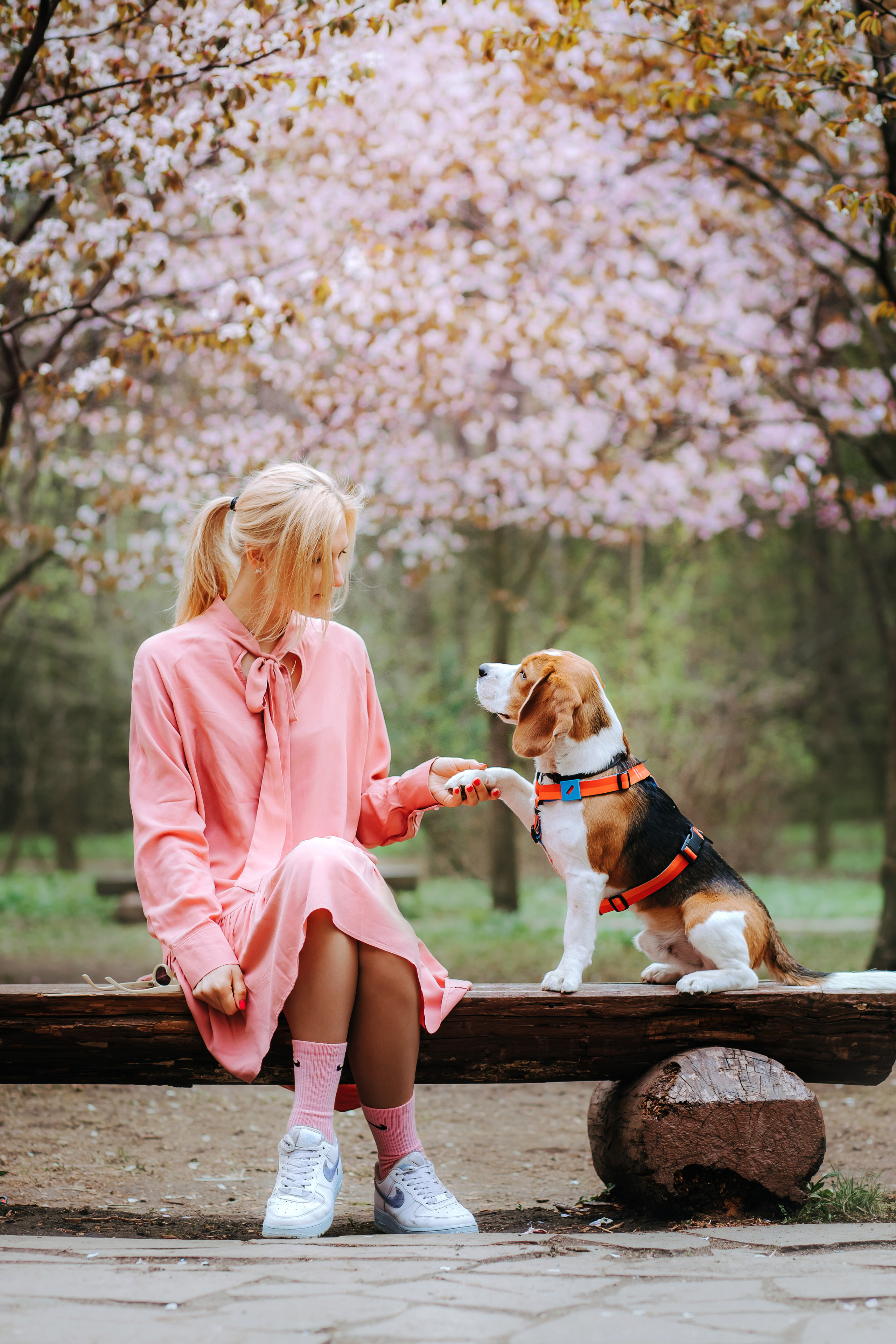 Фотопрогулка с собакой в бирюлевском дендропарке 