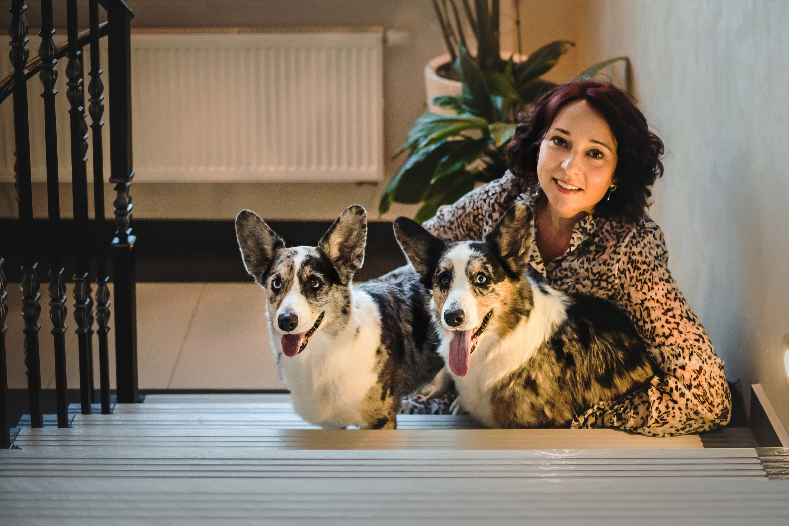 домашняя фотосессия с собакой