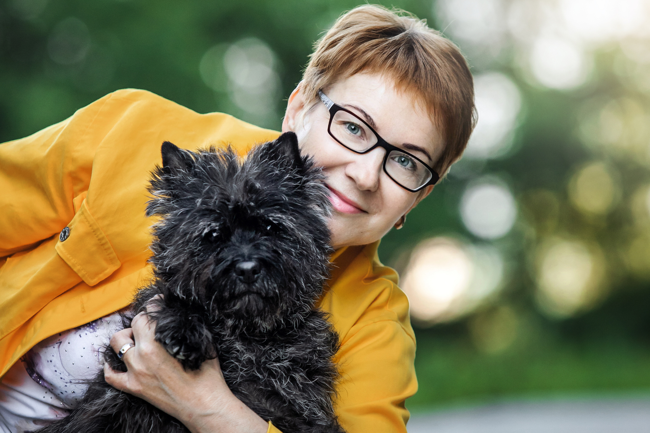 керн-терьер