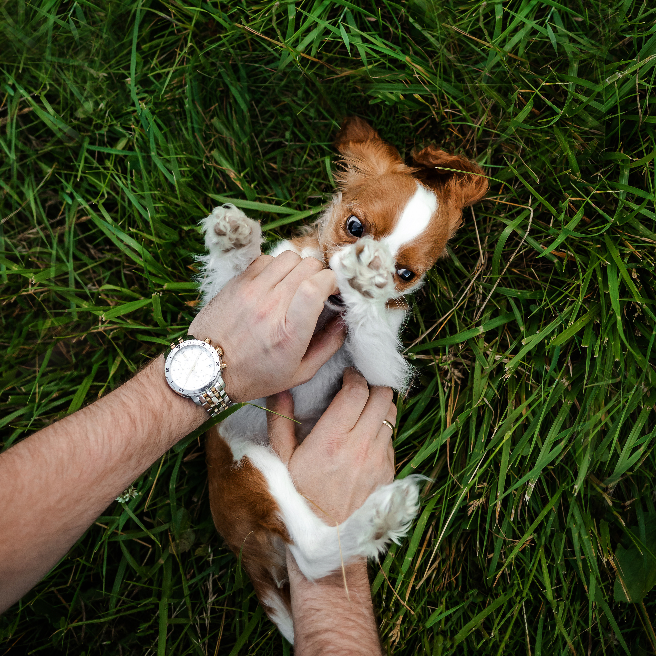 семейная фотосессия в бутово