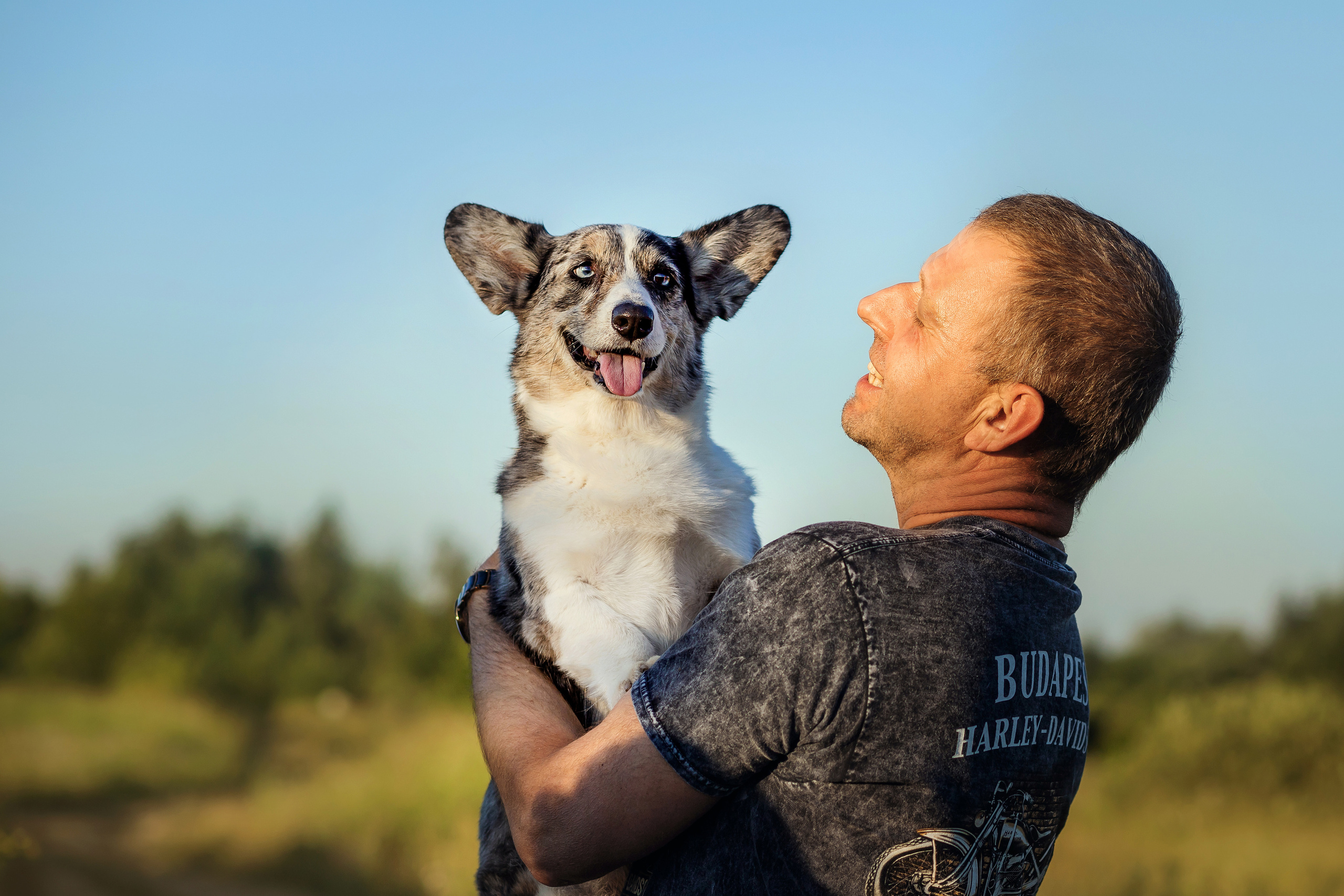 семейная фотосессия с собакой