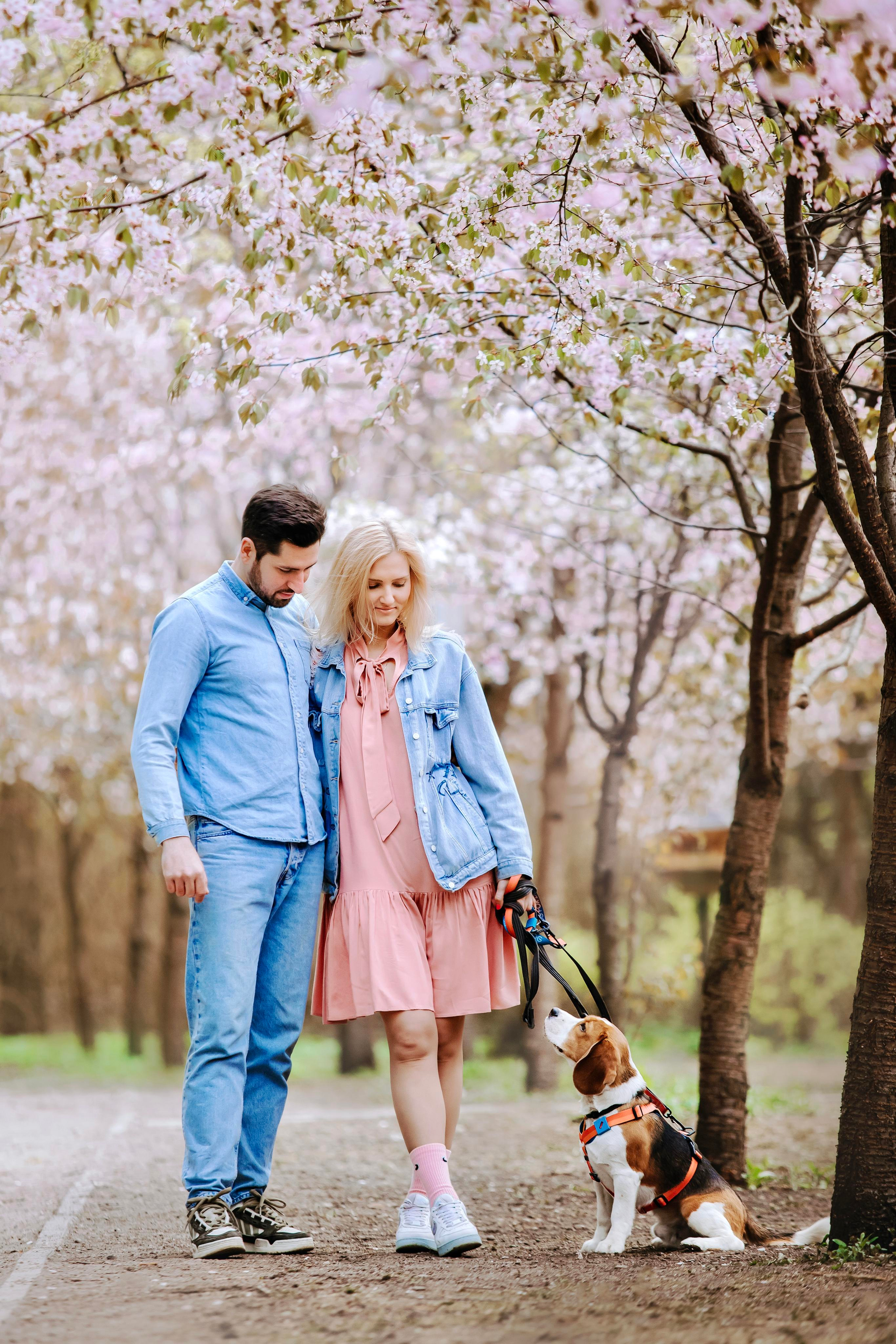 Весенняя фотосессия с собакой в цветущей сакуре 
