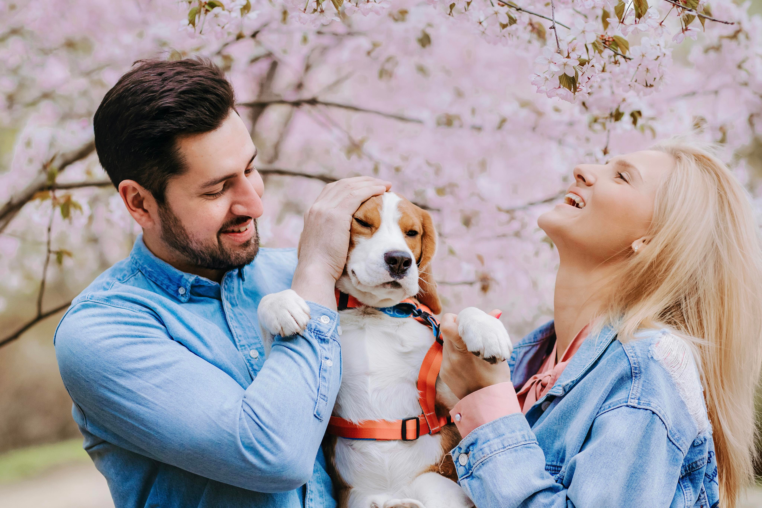 Весенняя фотосессия с собакой в цветущей сакуре 