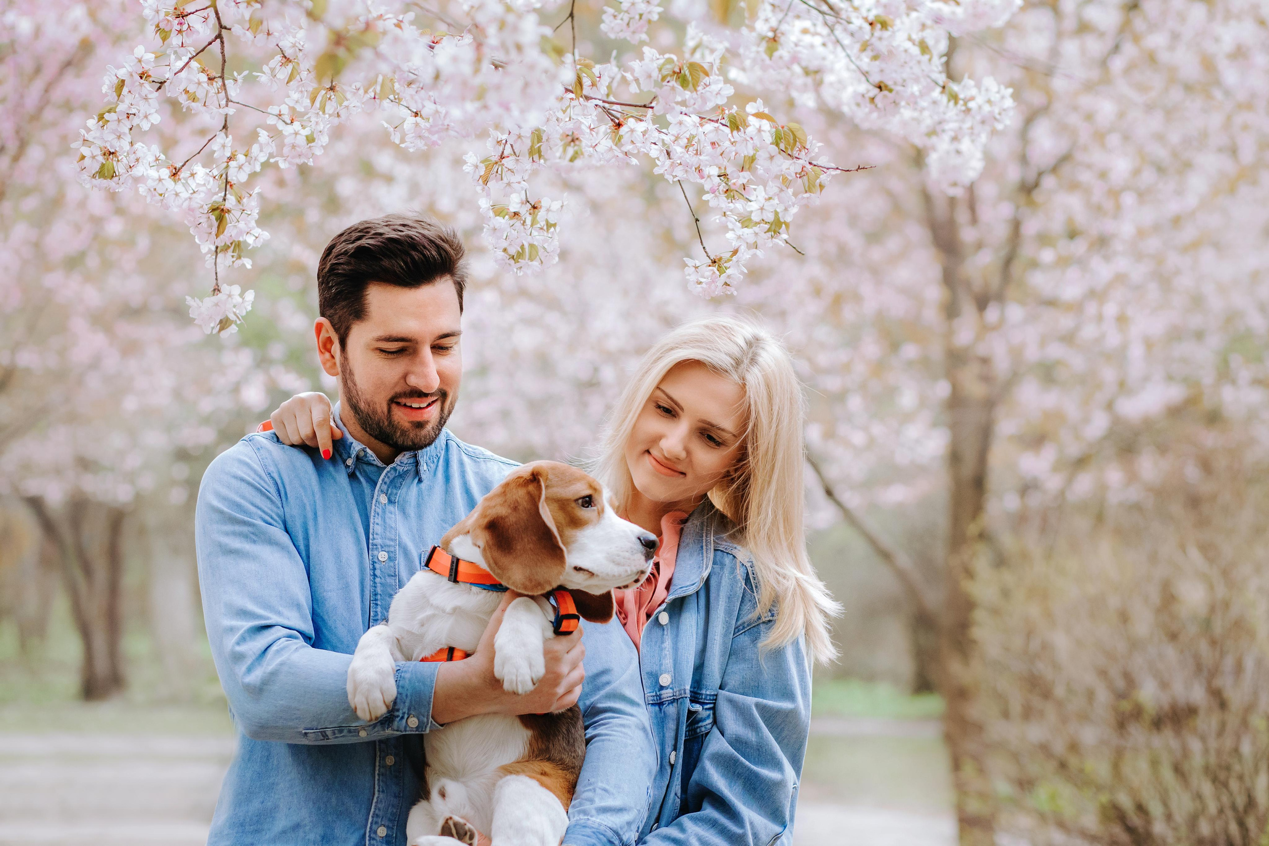 Фотосессия в бирюлевском дендропарке 