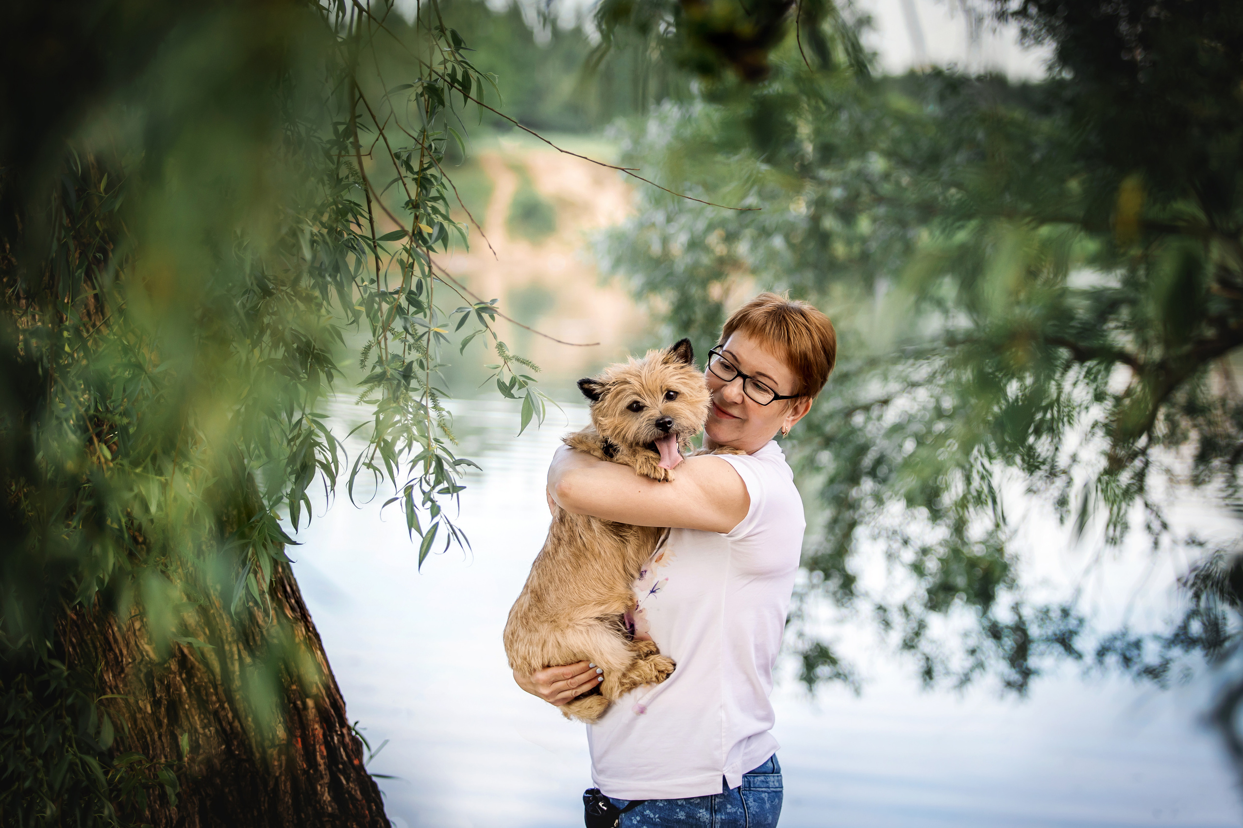 керн-терьер