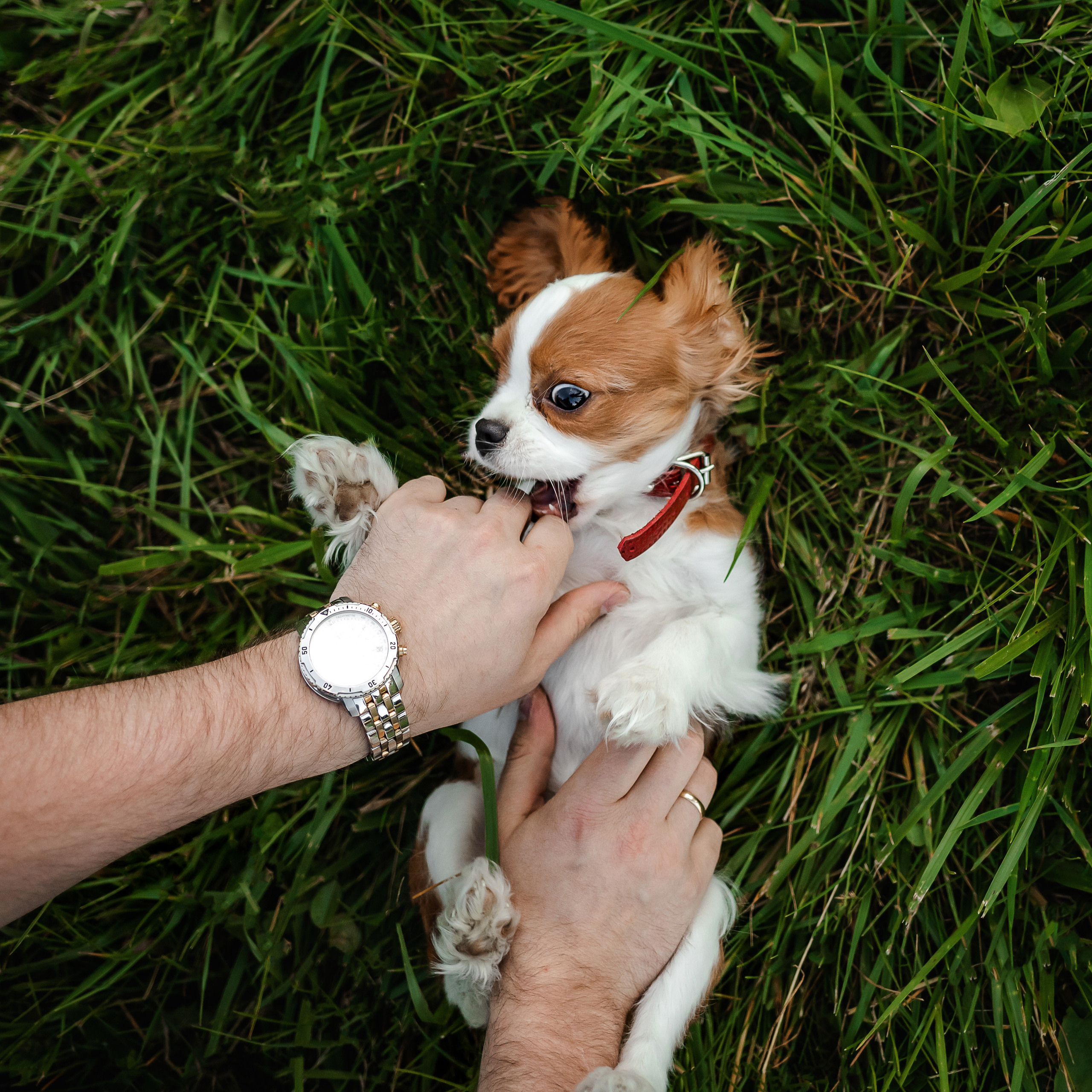 семейная фотосессия в бутово