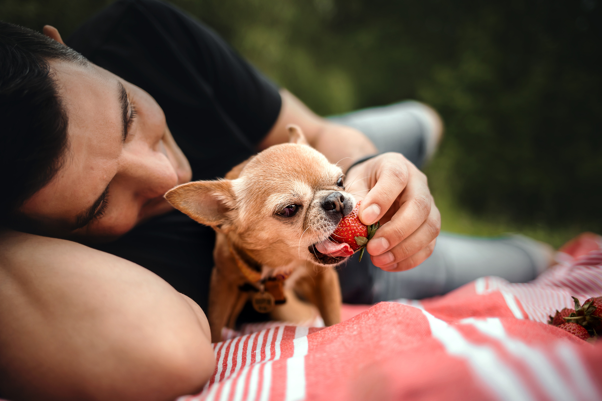 фотосессия с собакой