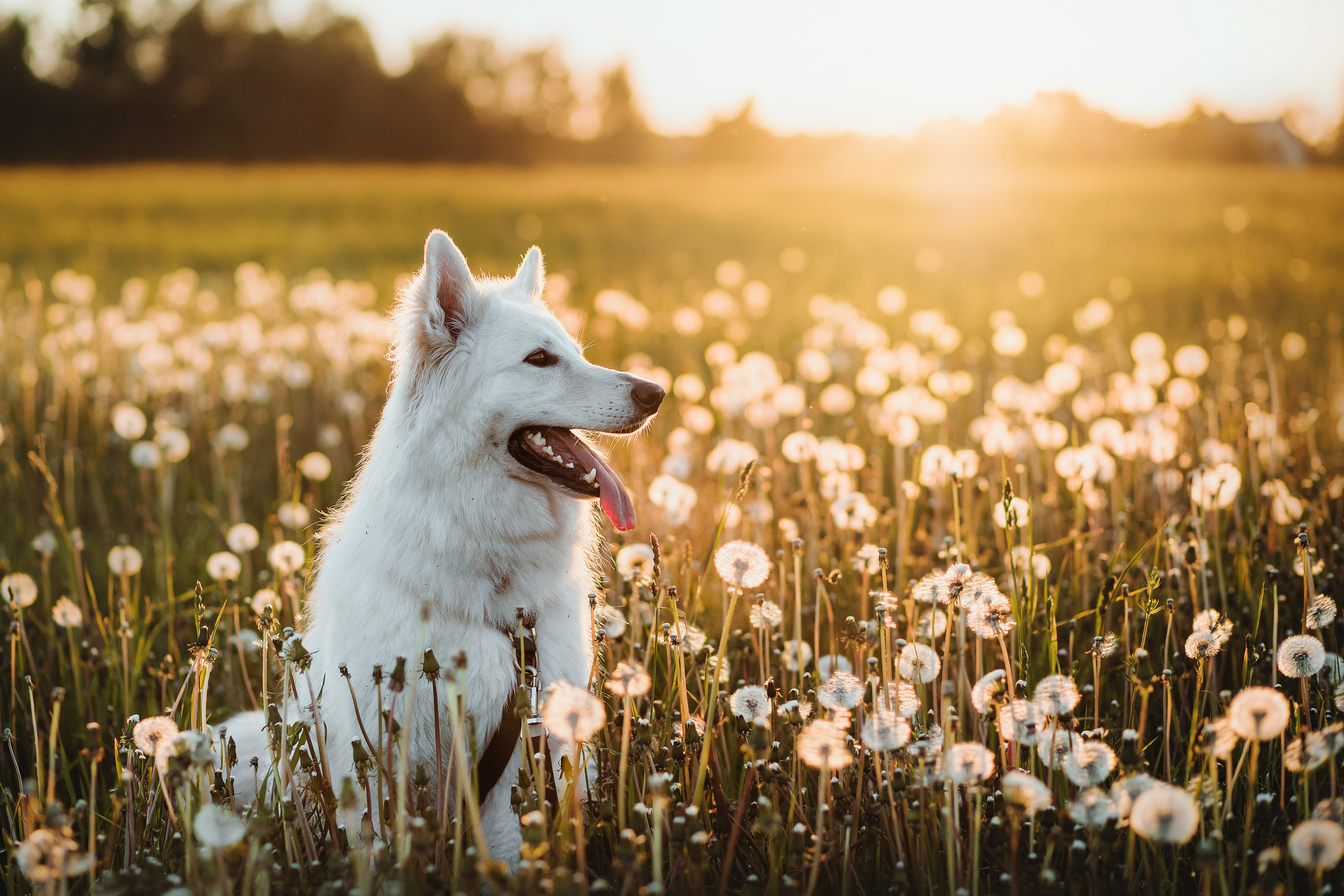 Скидка на фотосессию при выполнении двух условий