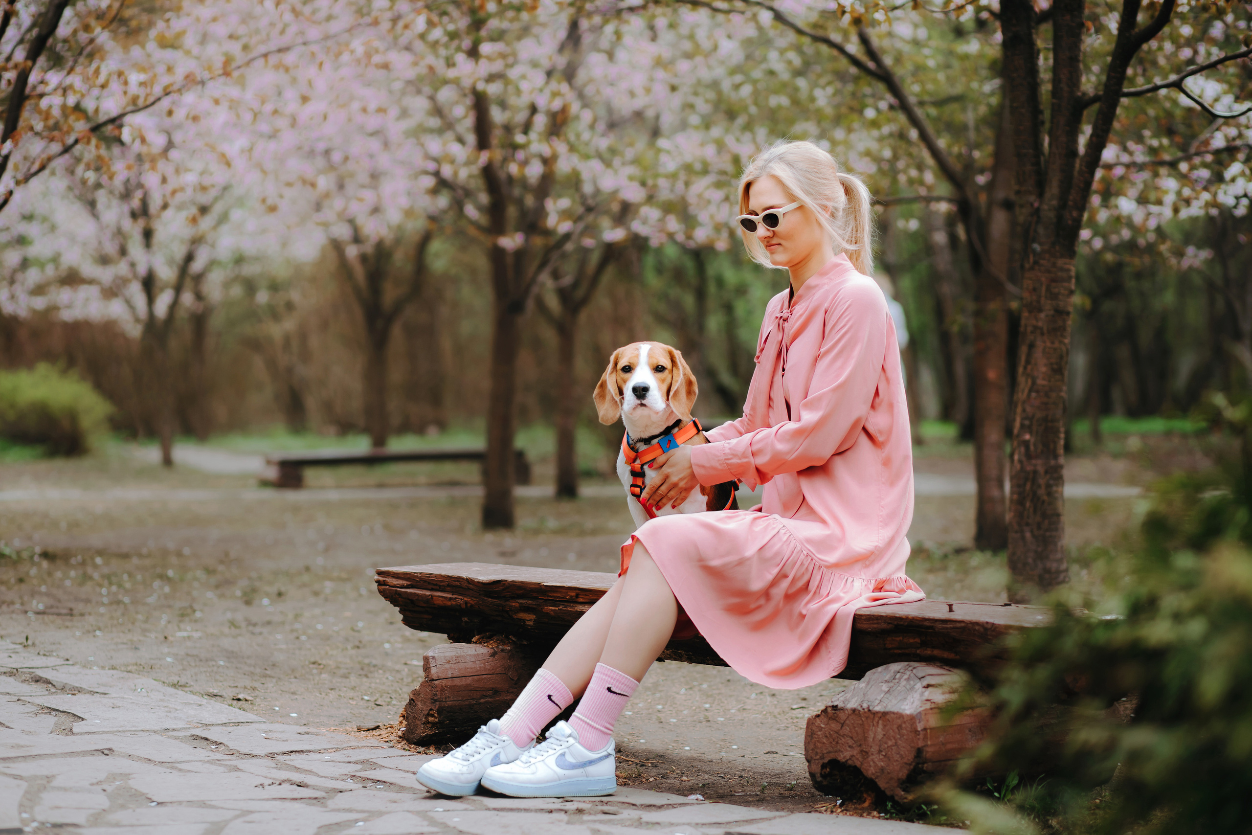 Фотопрогулка с собакой в бирюлевском дендропарке 