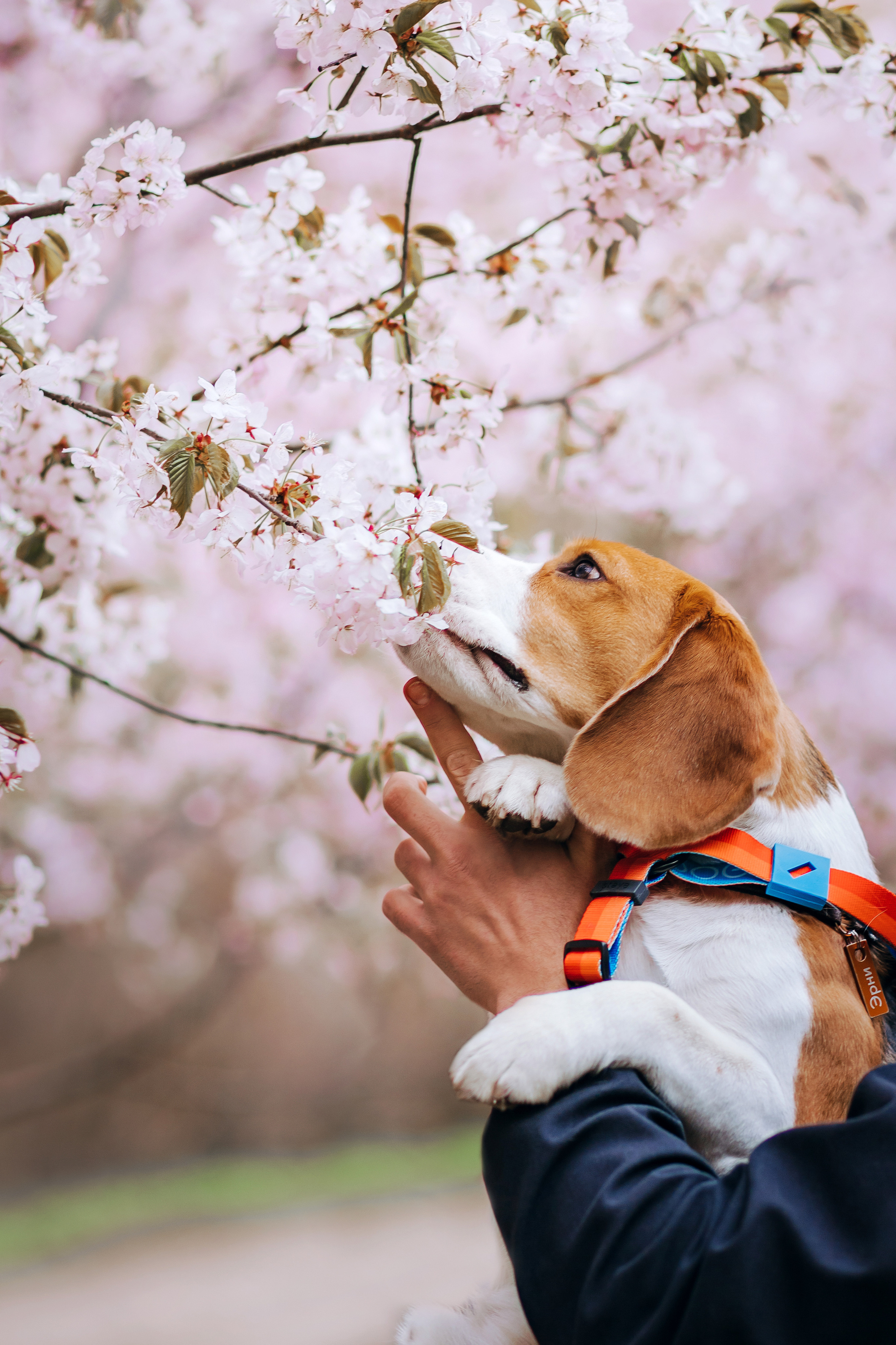 Фотосессия в бирюлевском дендропарке 