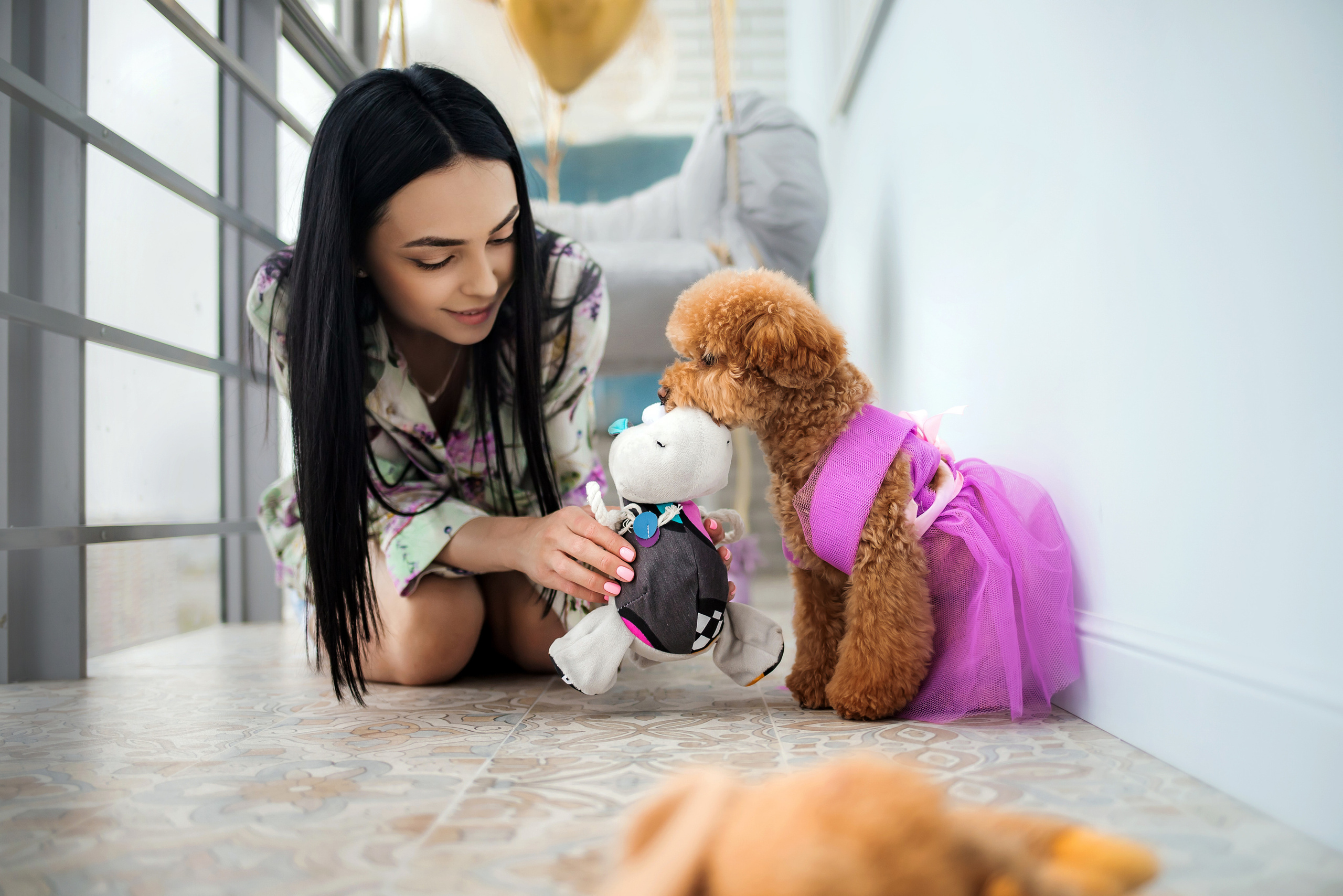 Фотосессия дня рождения собаки