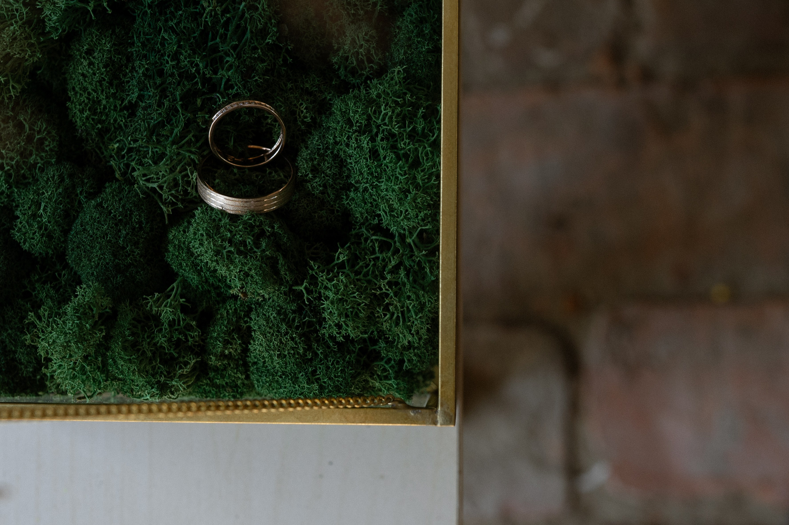 Таня и Женя. Свадебный и репортажный фотограф Сергей Чесноков