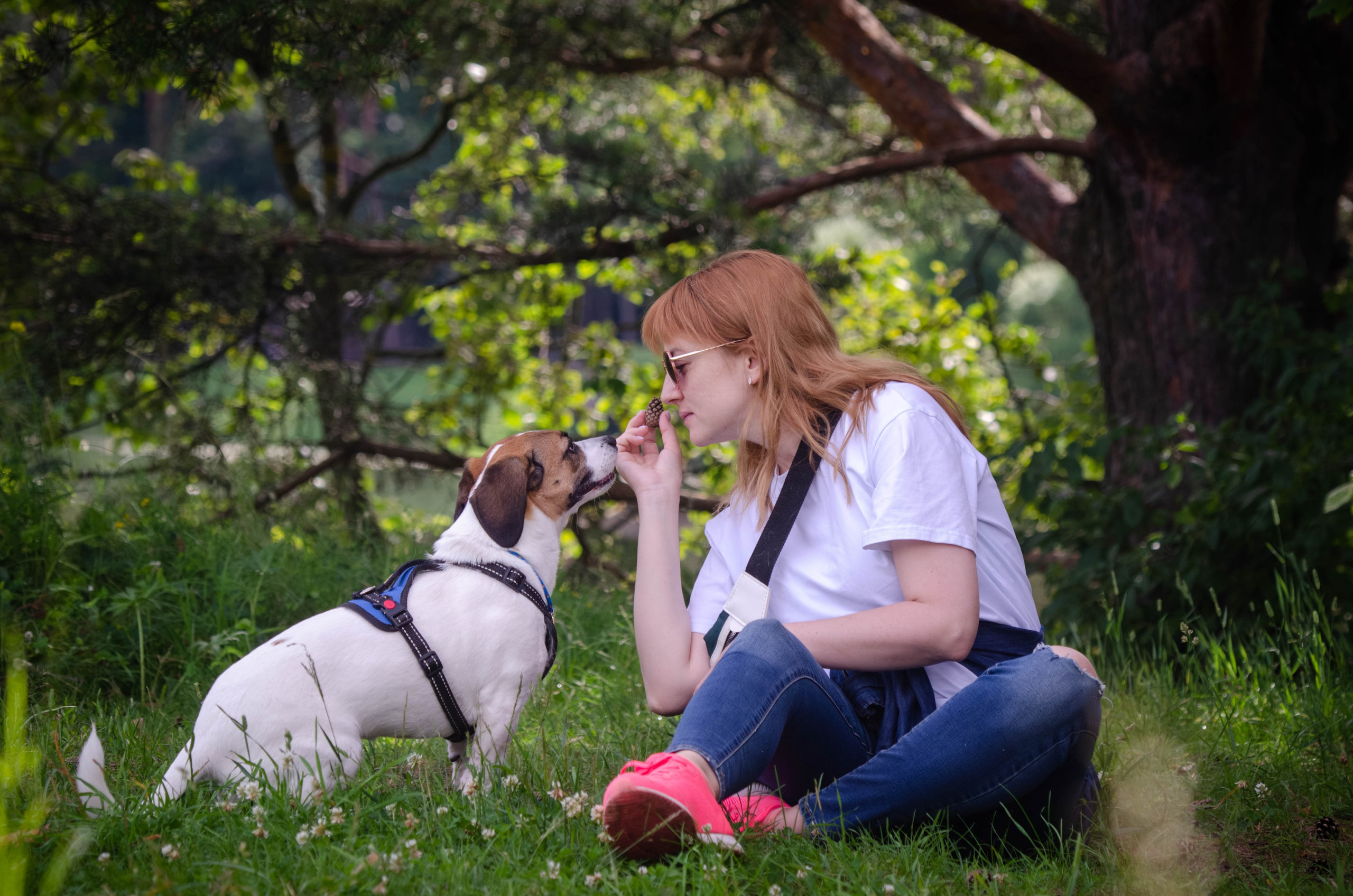 Прогулка (Лохин остров). Фотограф Светлана Блинова, Москва и Московская область