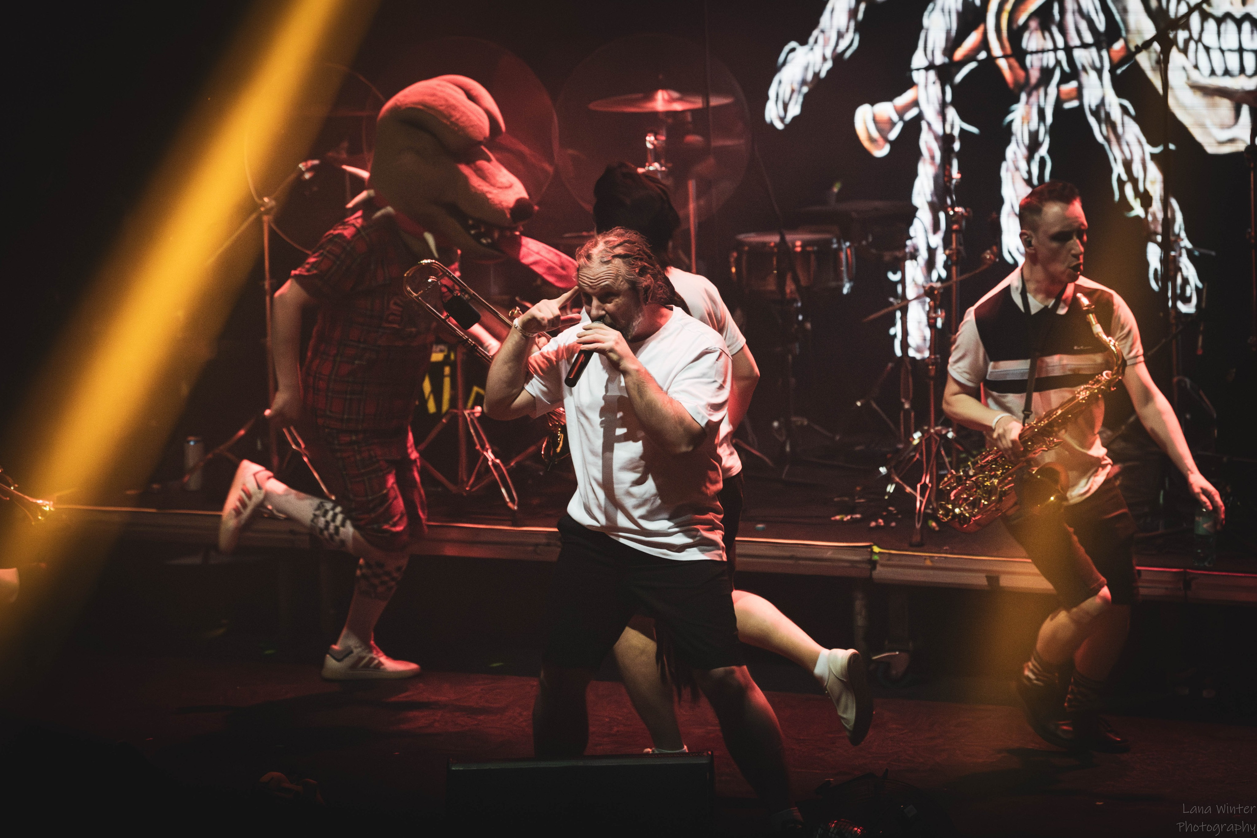 Distemper (4 января 2026 года, Москва, клуб Base). Фотограф Светлана Блинова, Москва и Московская область