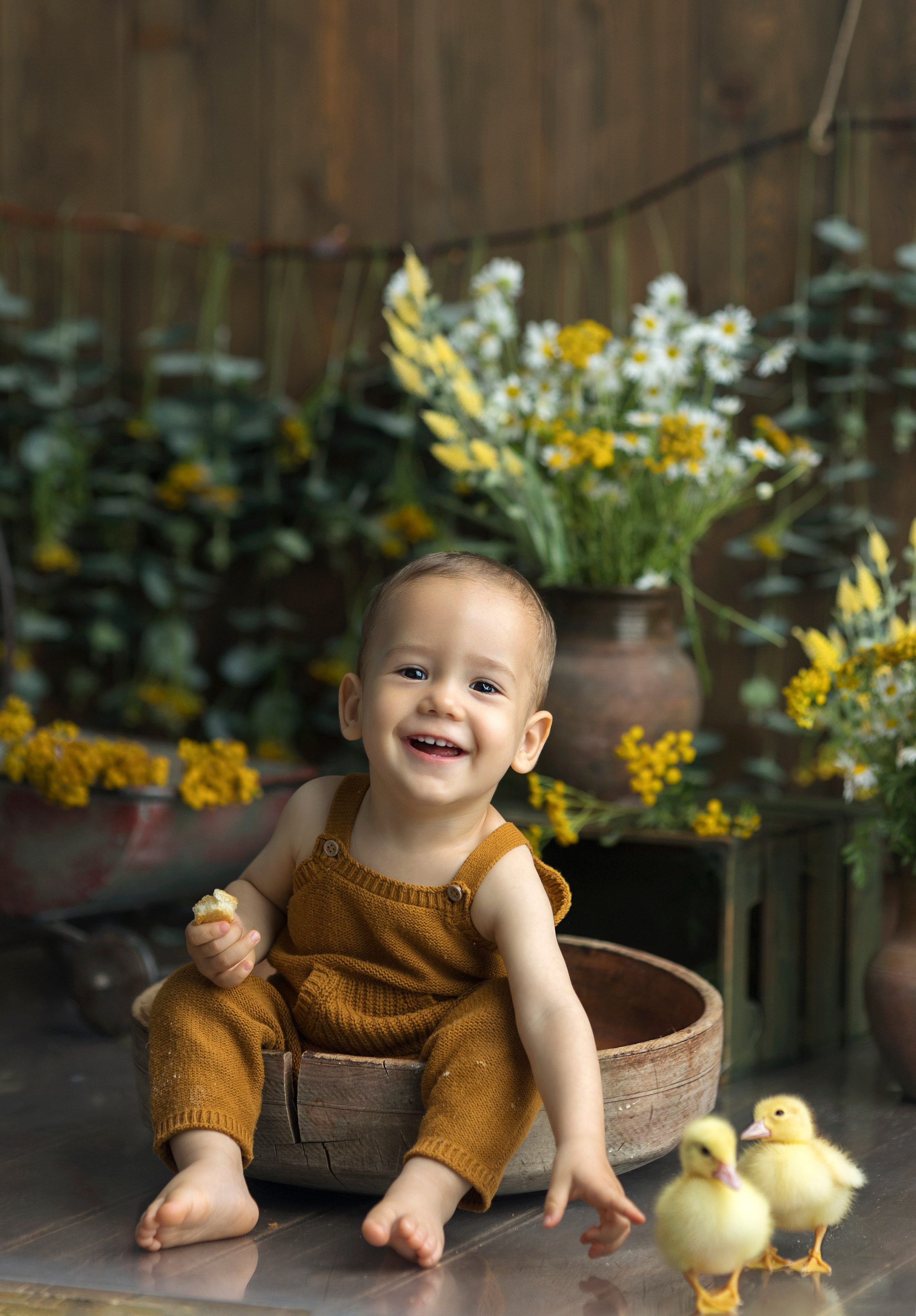 Утки. Главная