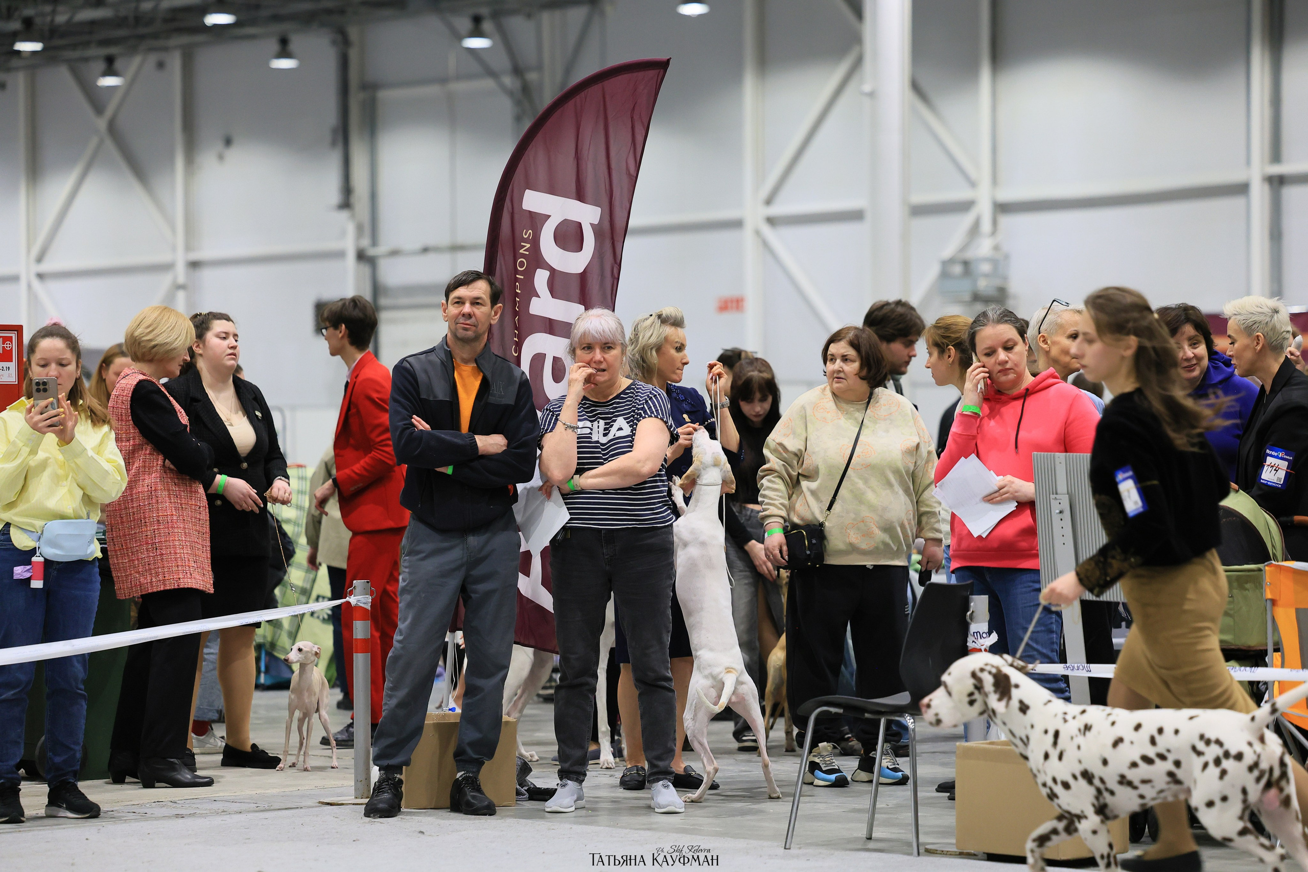 28-29.03.2026 Рейтинговая выставка в Новосибирске. Фотограф Анималист из Новосибирска Татьяна Кауфман