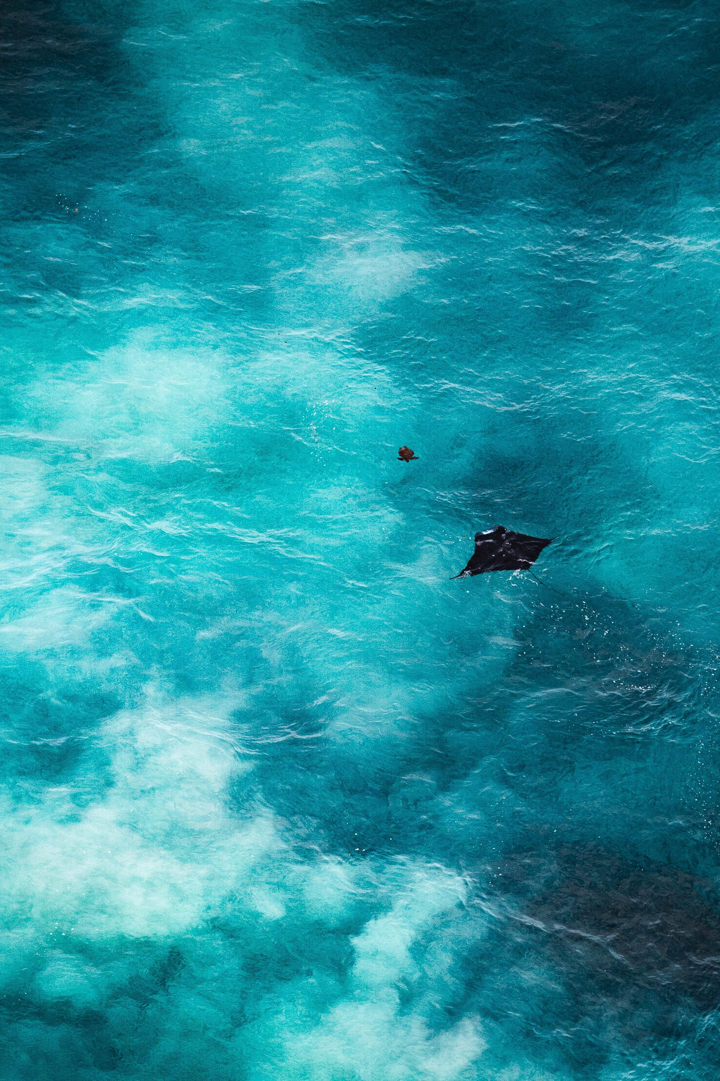 Бали 23. Vazovsky Photography