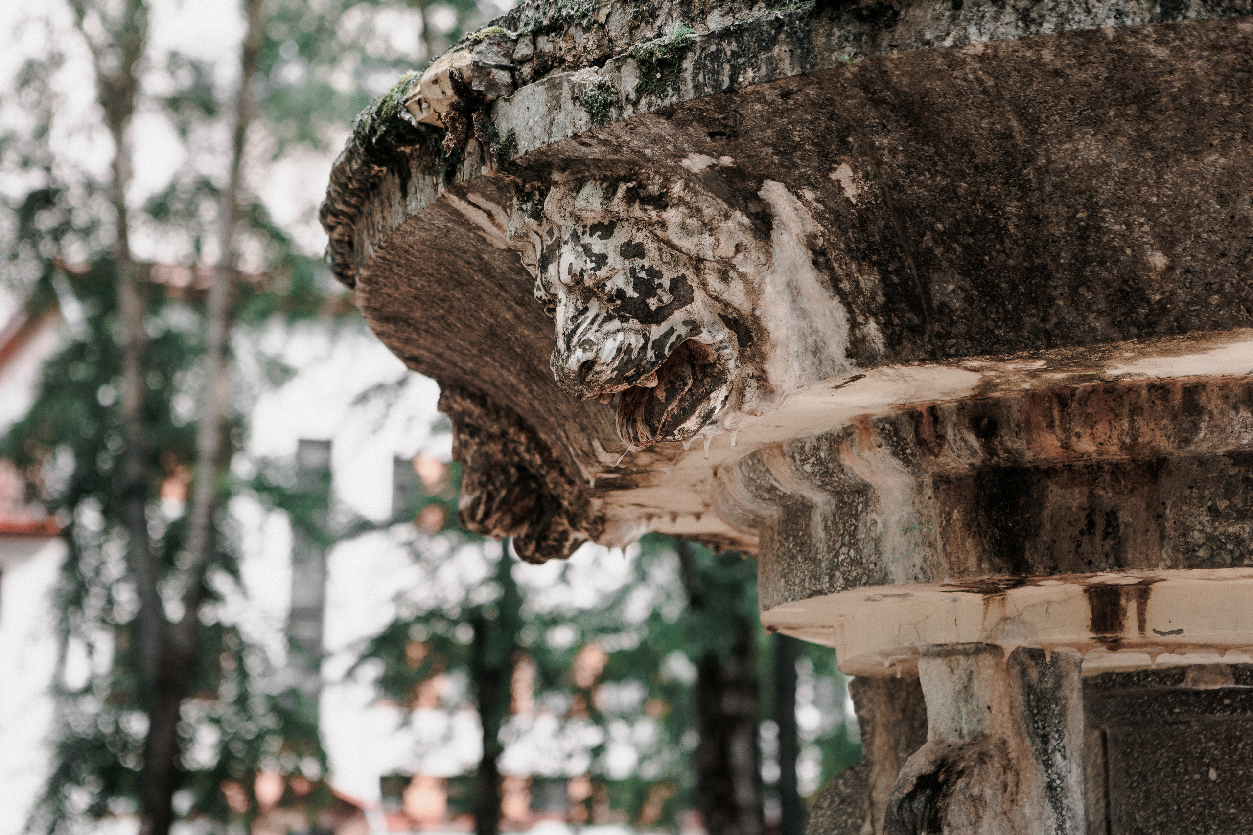Екатерина и Альберт. Свадебный и портретный фотограф в Архангельске Илья Труфанов