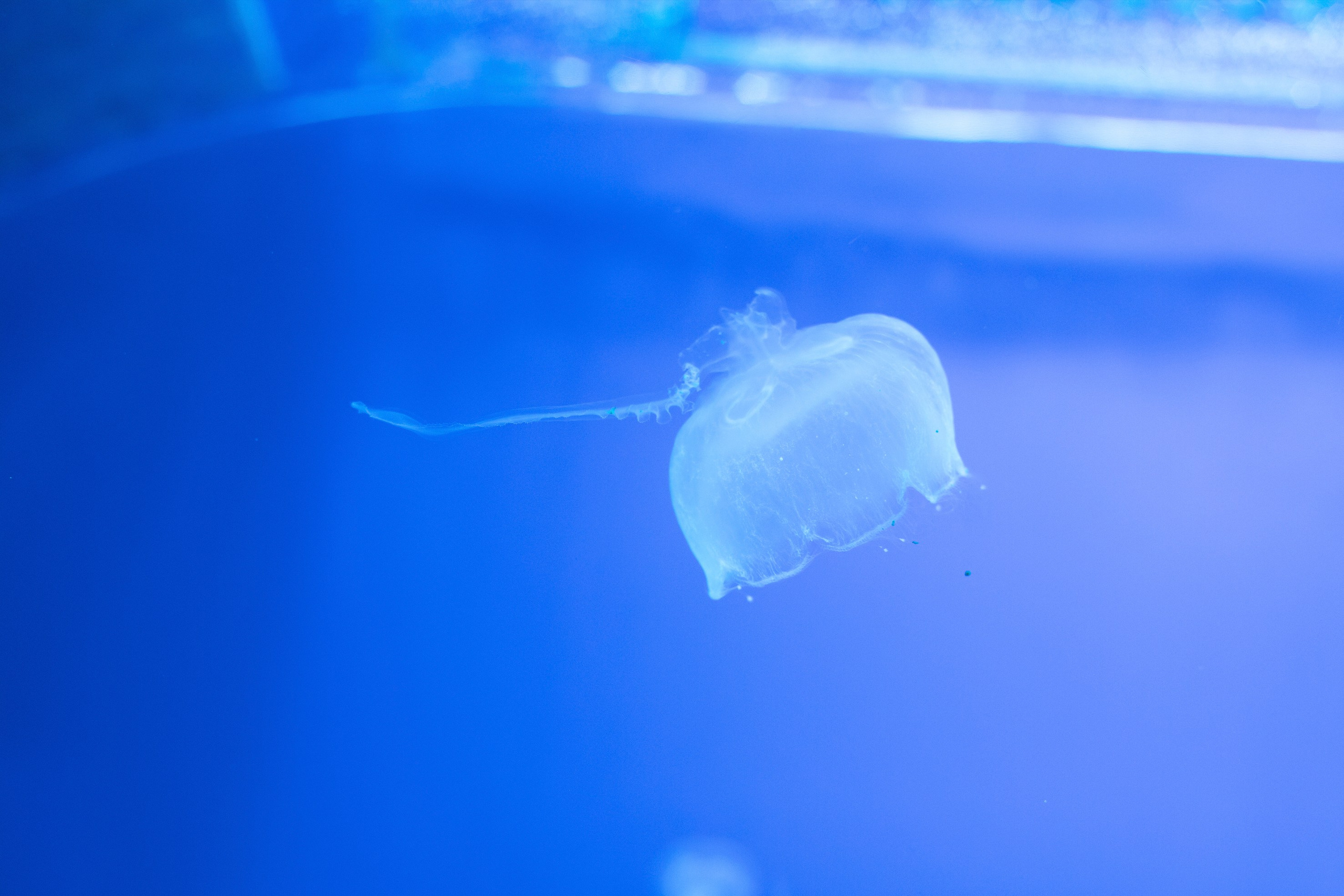 Абстракция. Команда фотографов Кристины Ивановой