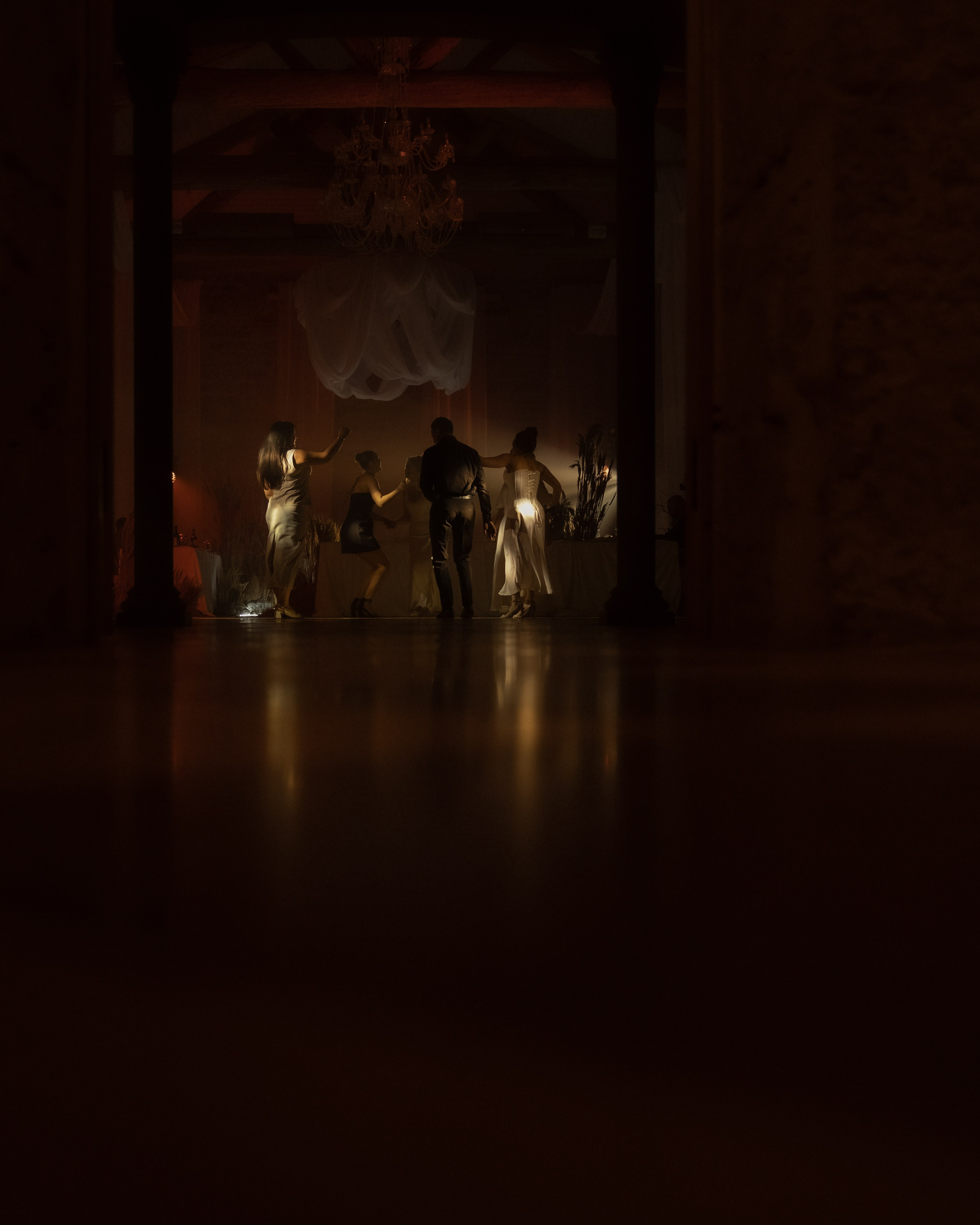 Лебеди. Свадебный фотограф Воронеж Москва СПБ